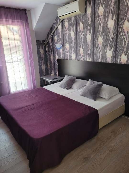 Guest House Taligarov
