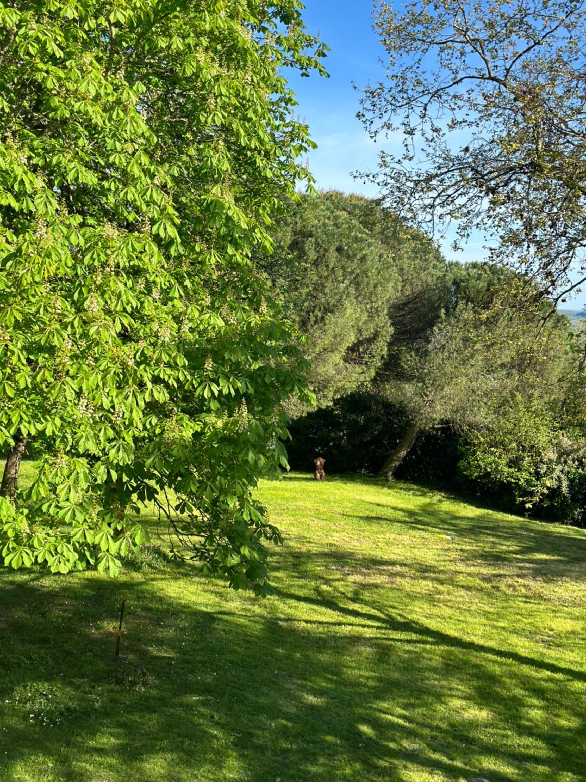 Les Hauts de Sauliès