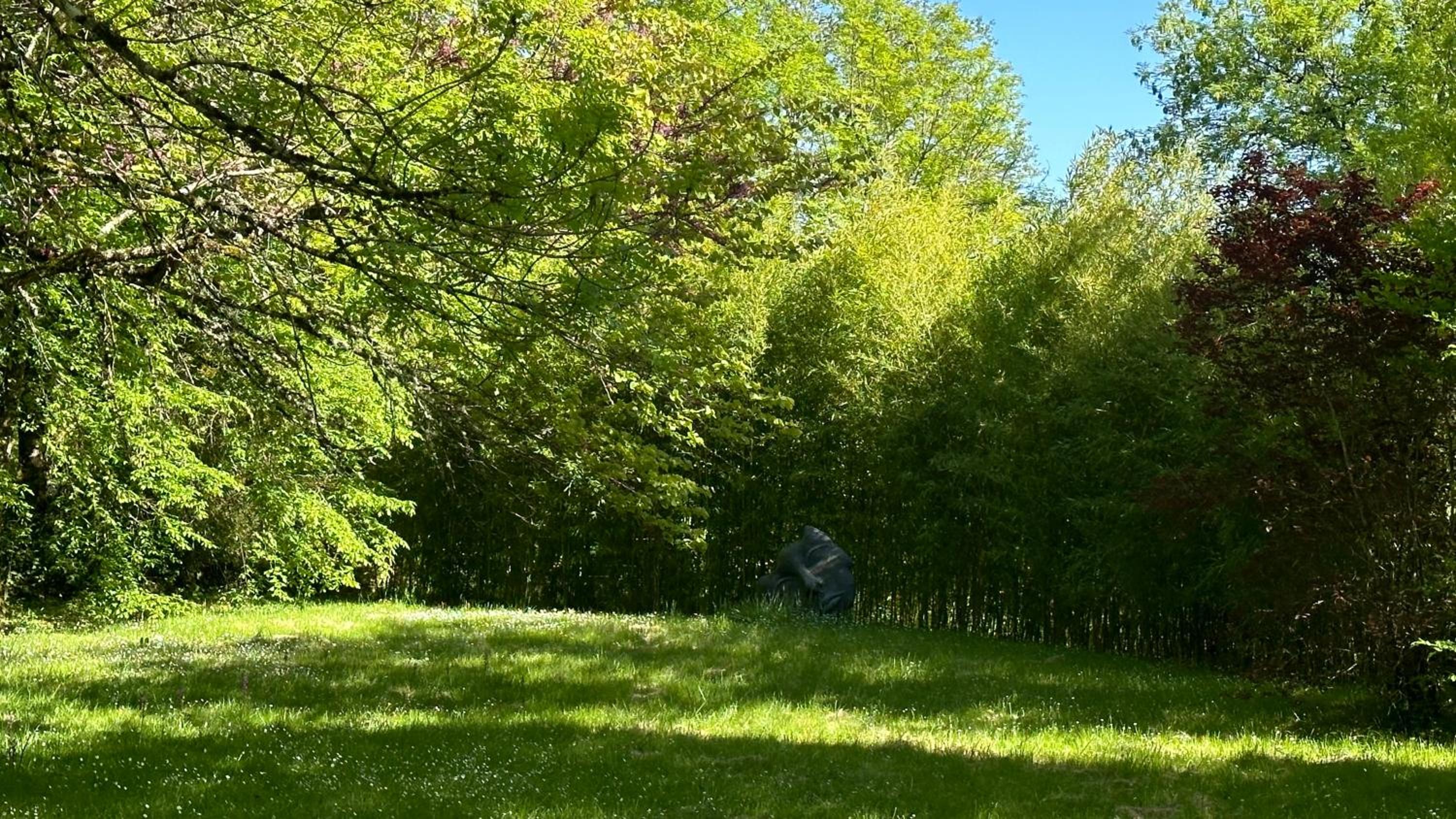 Les Hauts de Sauliès