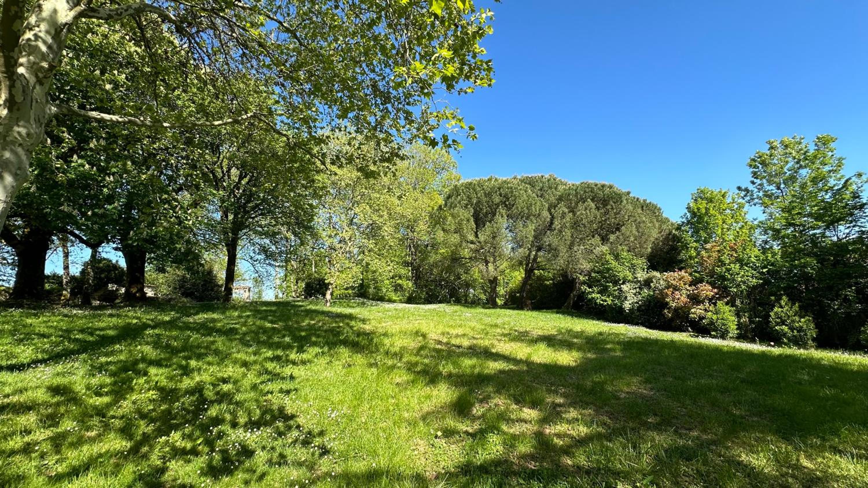 Les Hauts de Sauliès