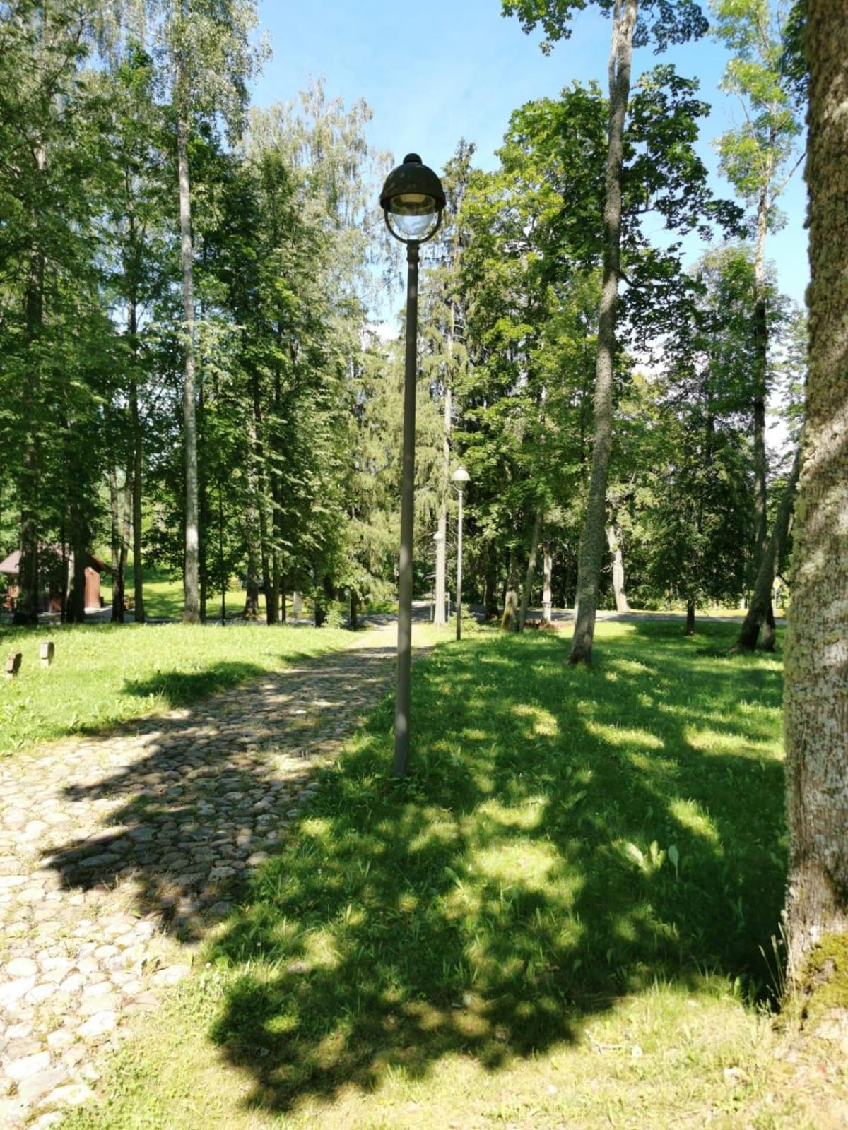 Photo 44