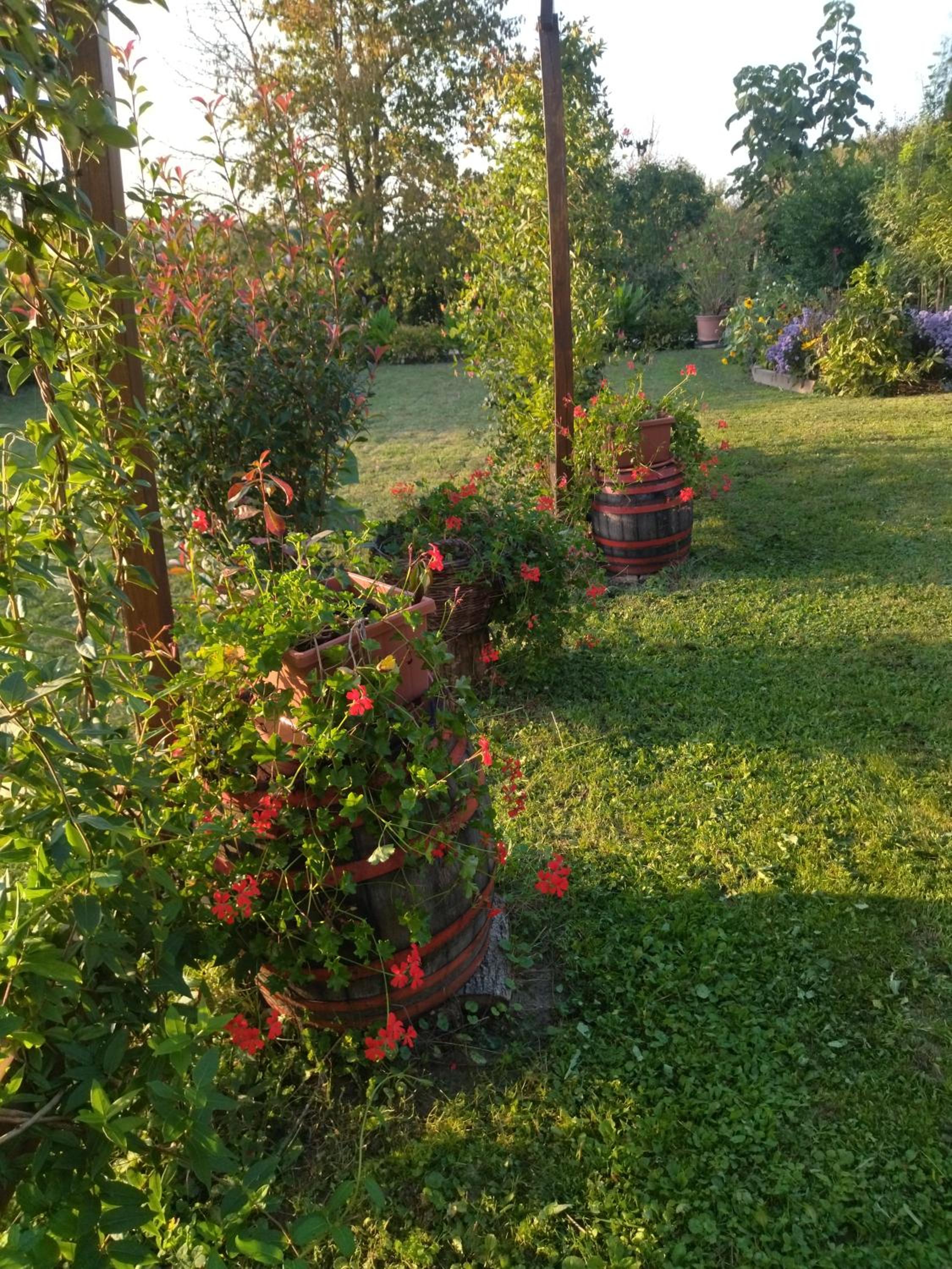 Photo 28
