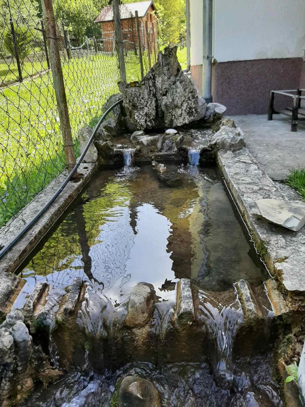 Domacinstvo Ubovic