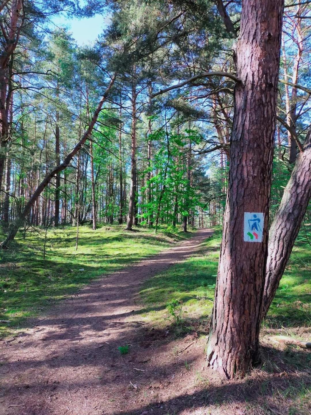 Photo 29