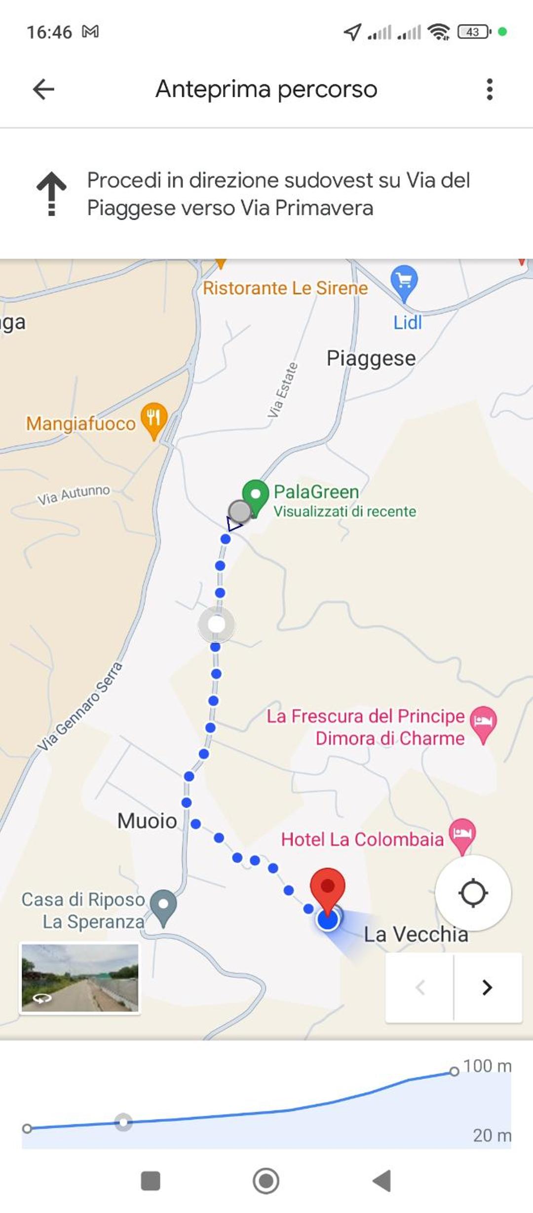Le Cicale