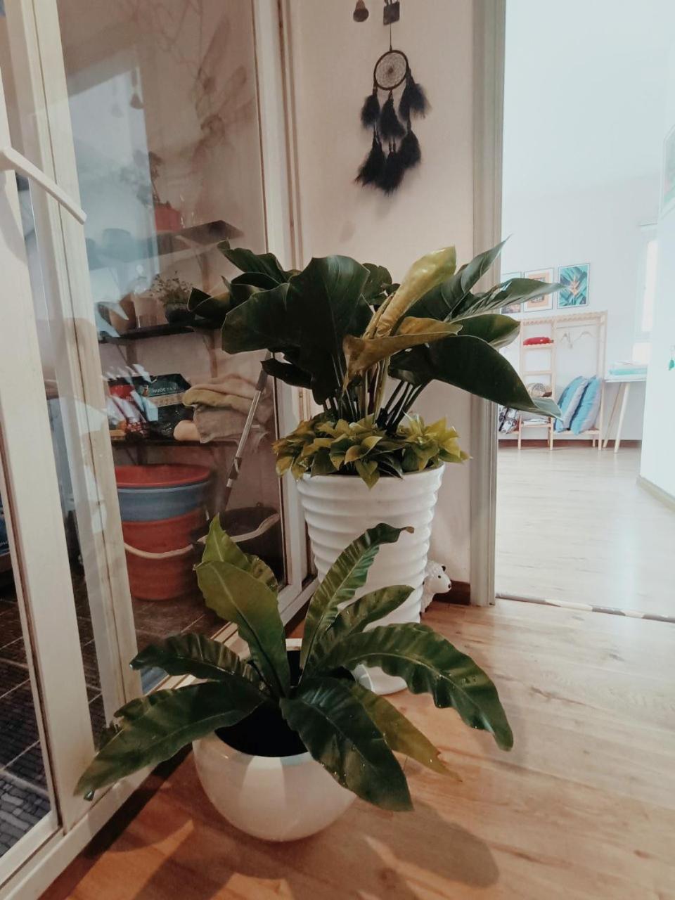 Nup Saigon Homestay