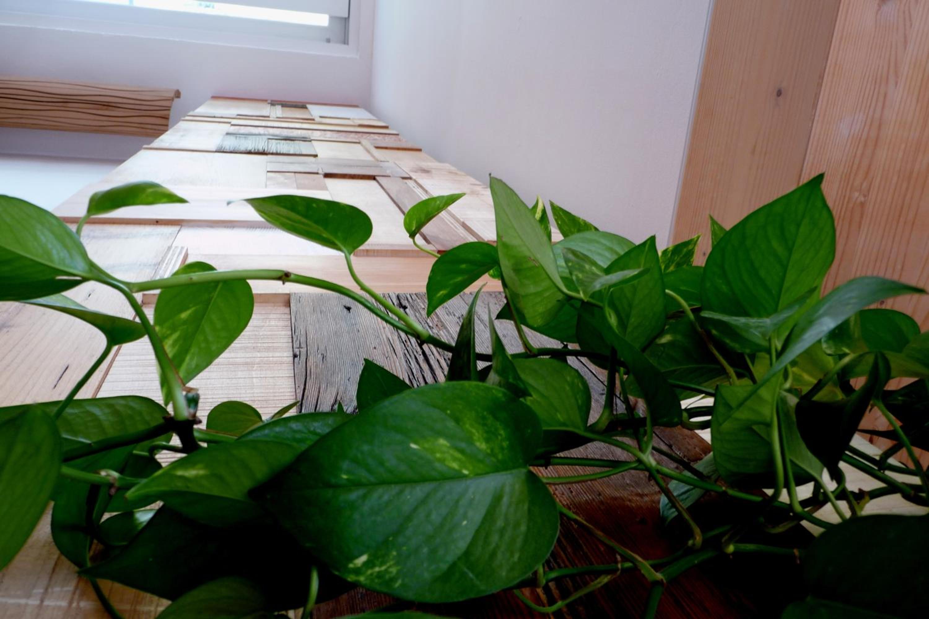 B&B Casa sul Lago - Appartamenti