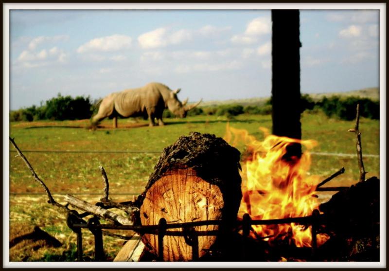 Camp Nguni