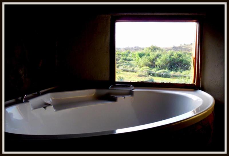 Camp Nguni