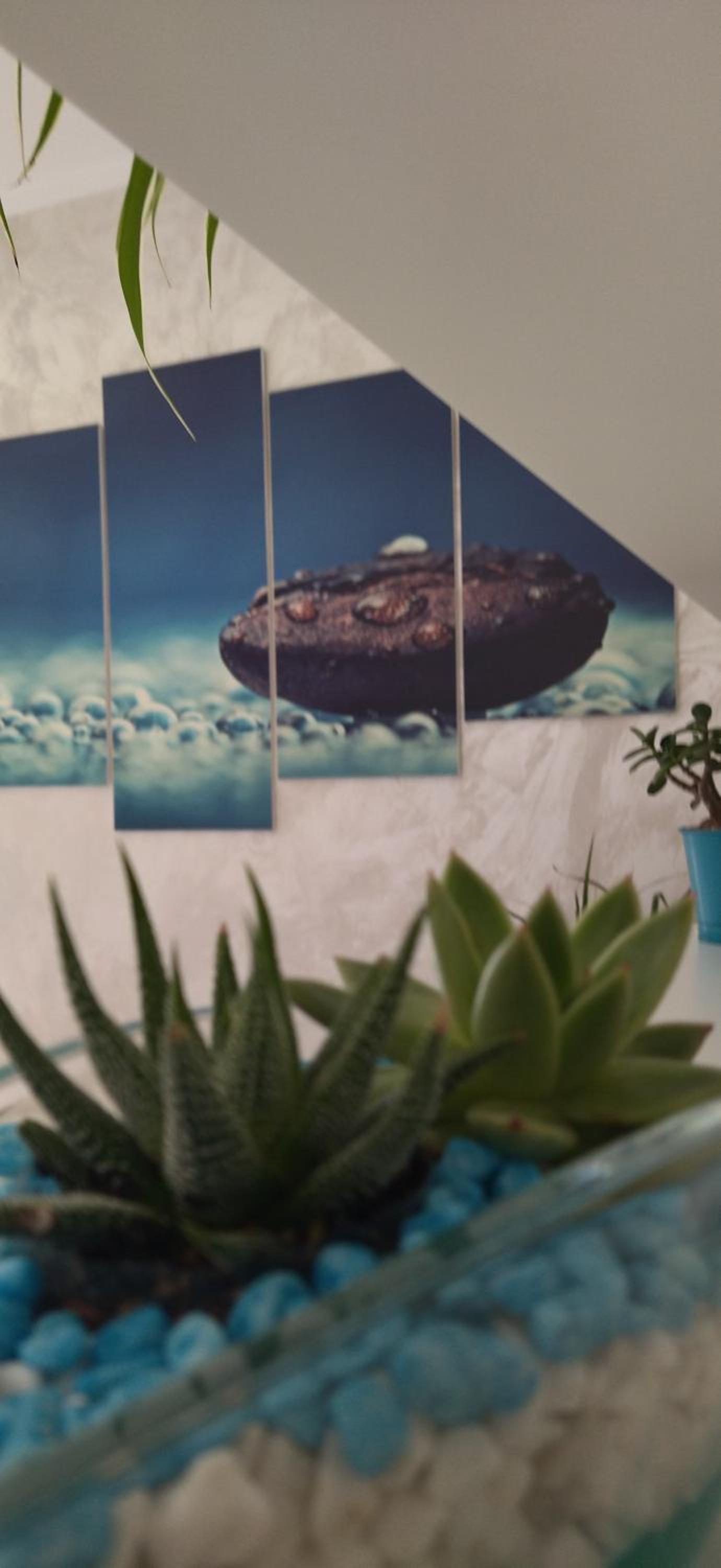 B&B La Munachell photo 5