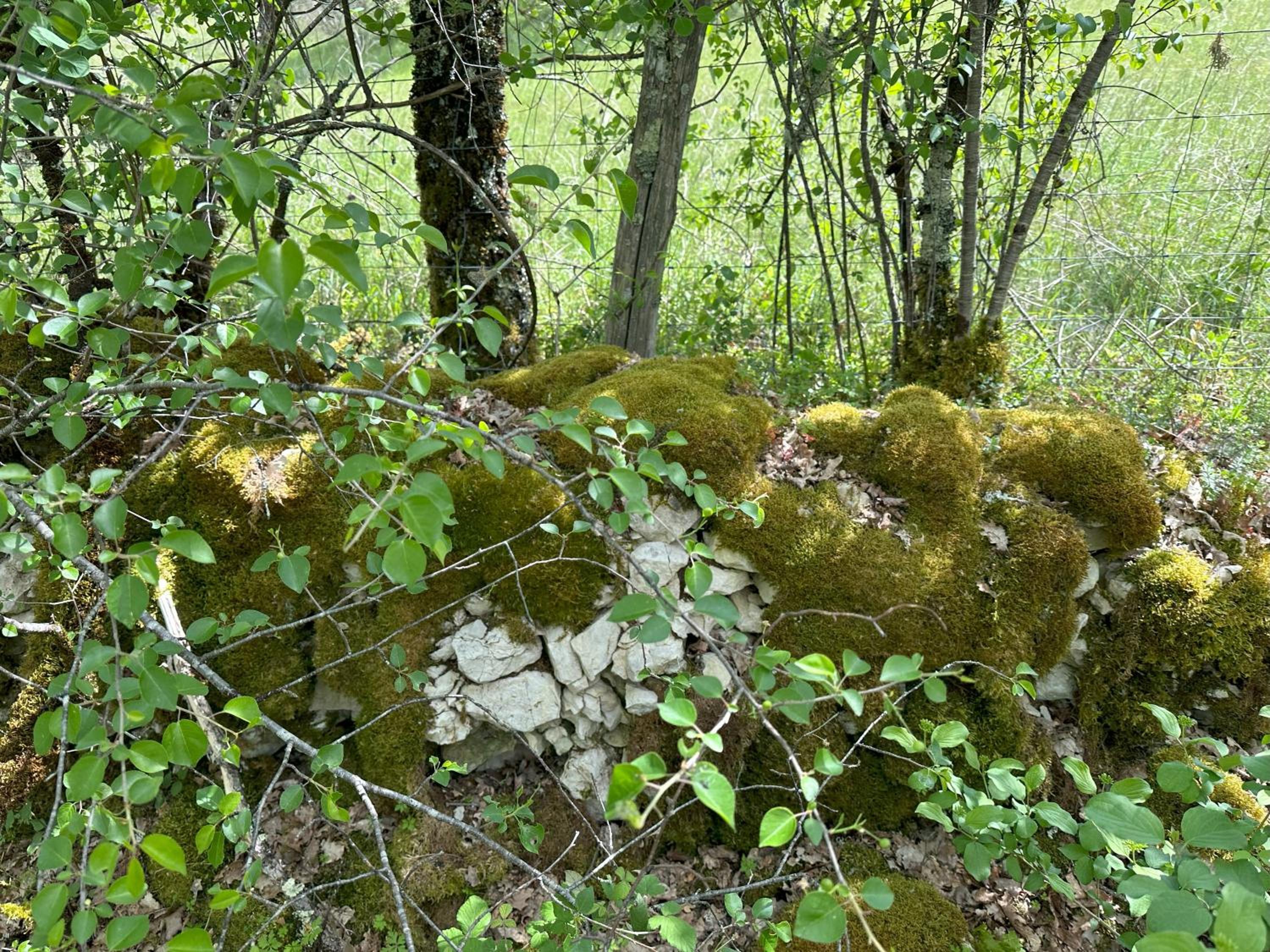 Les Hauts de Sauliès
