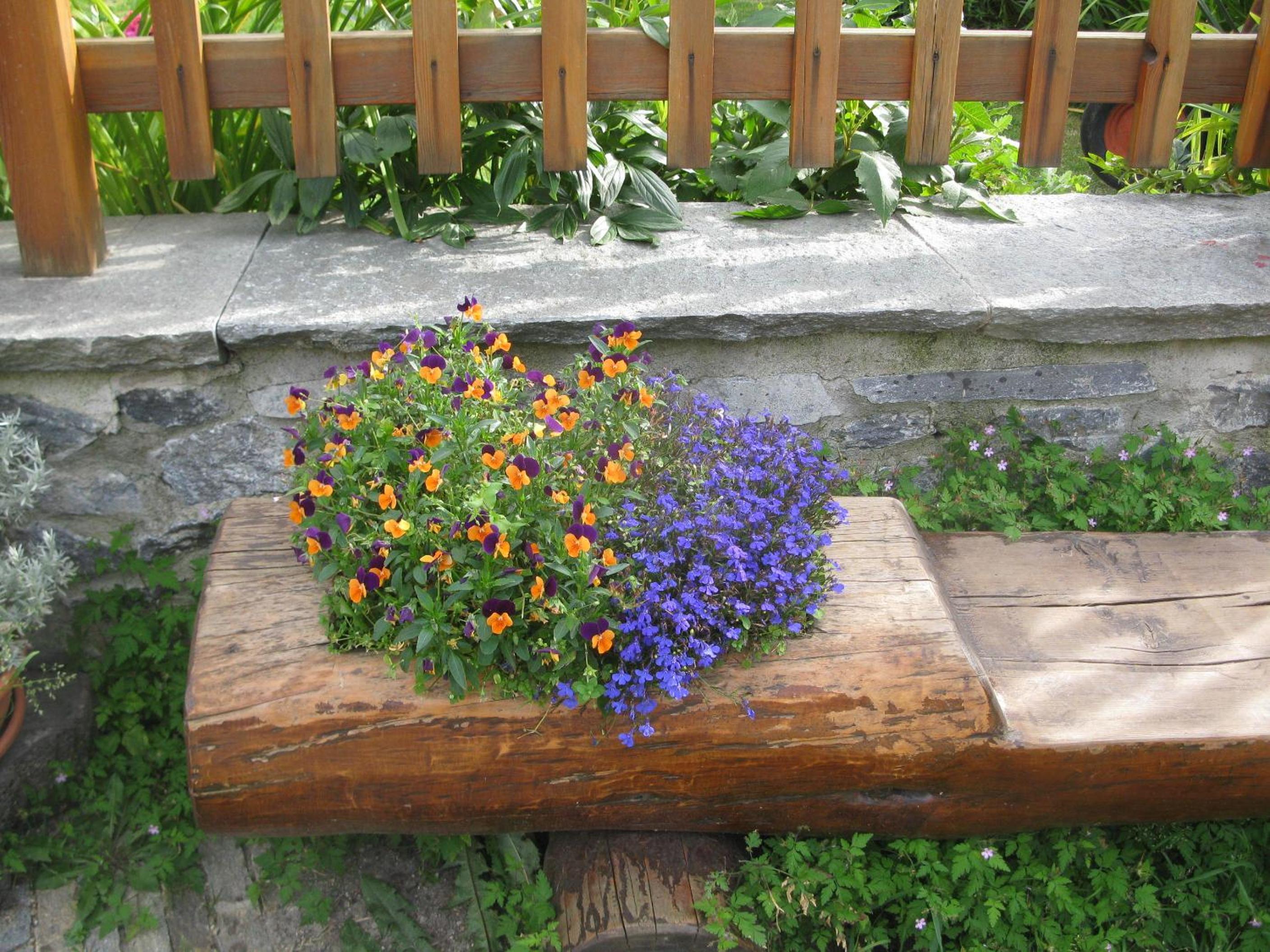Photo 24