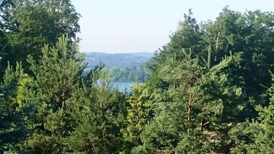 Dom wczasowy Rychertówka view 4
