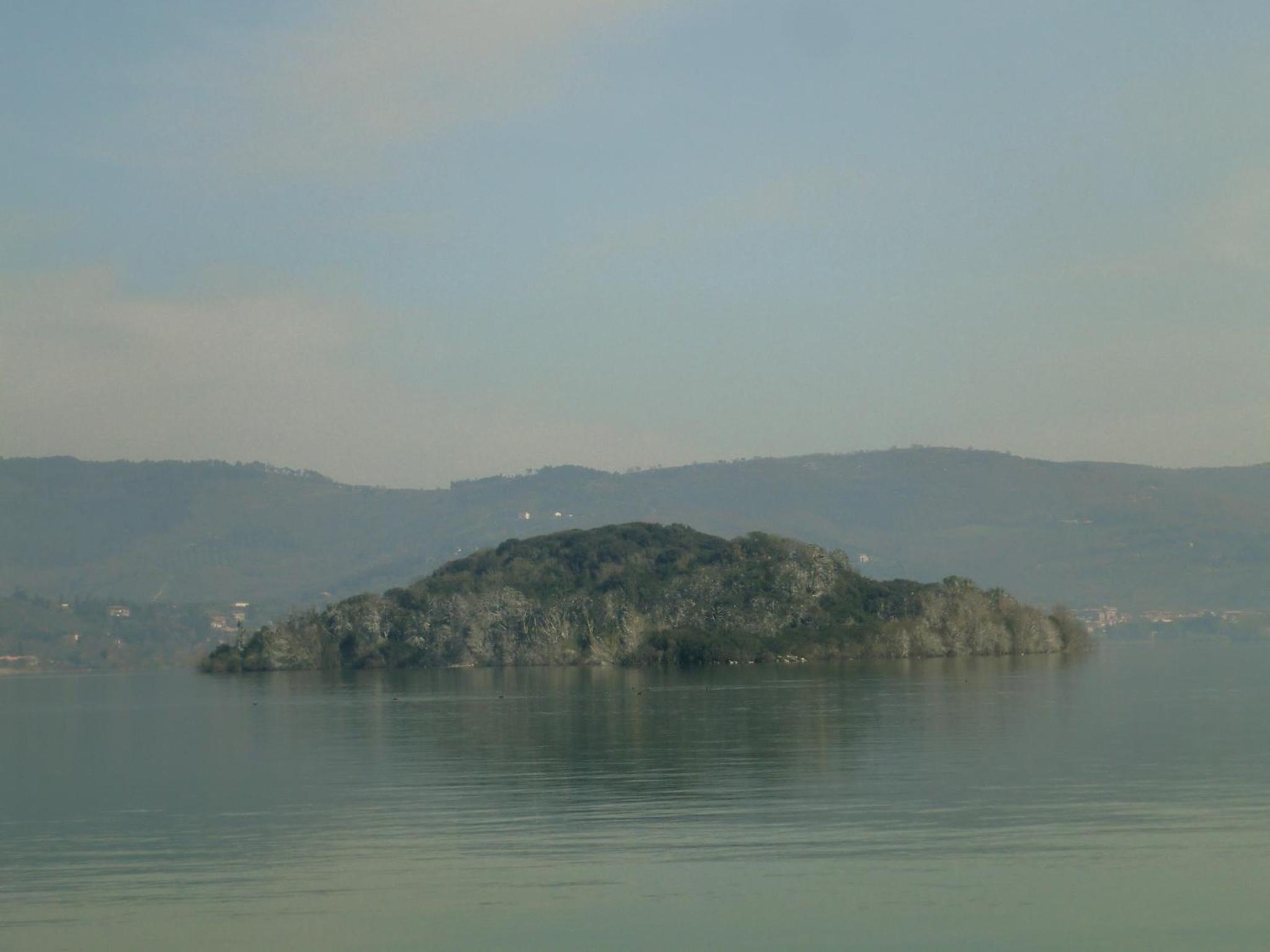 Photo 32