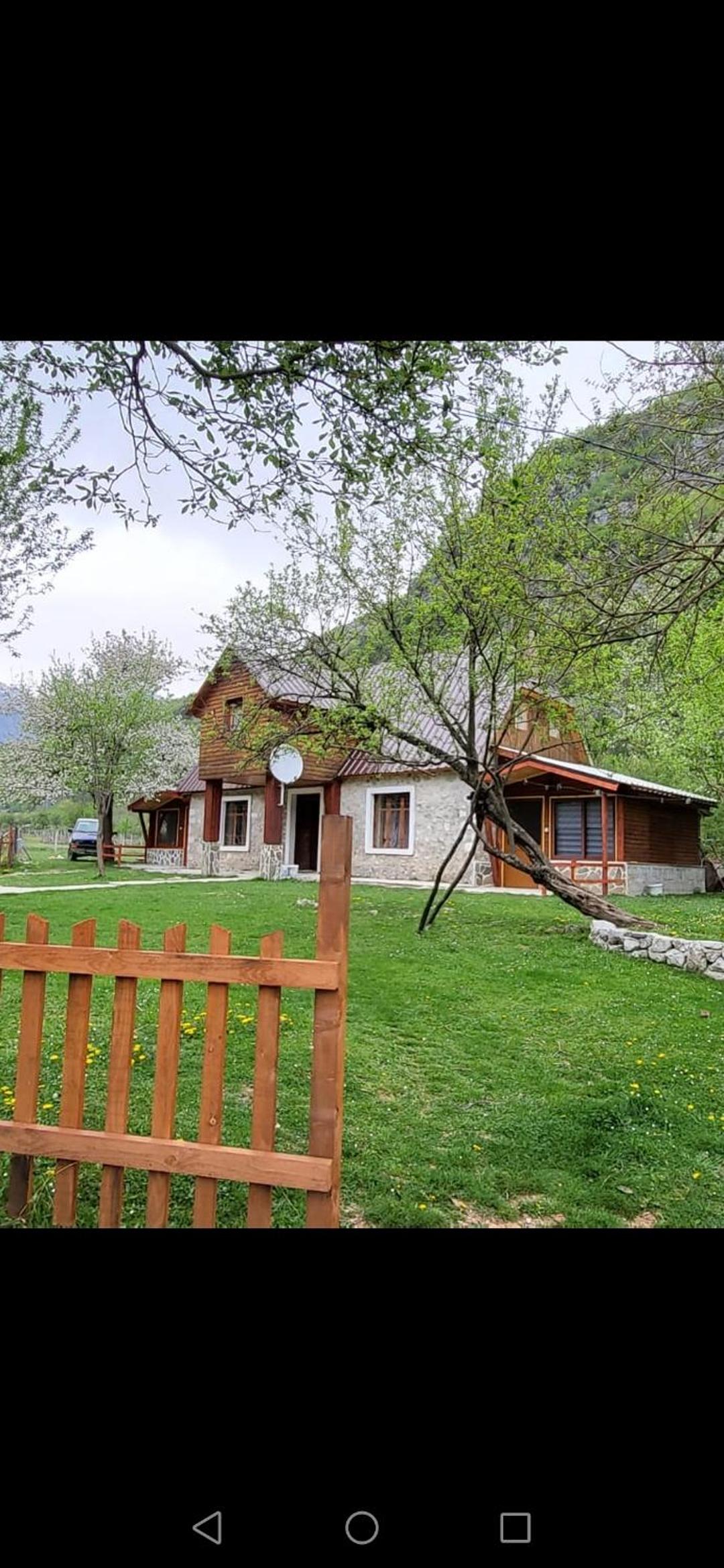 Bujtina Pllumi Theth