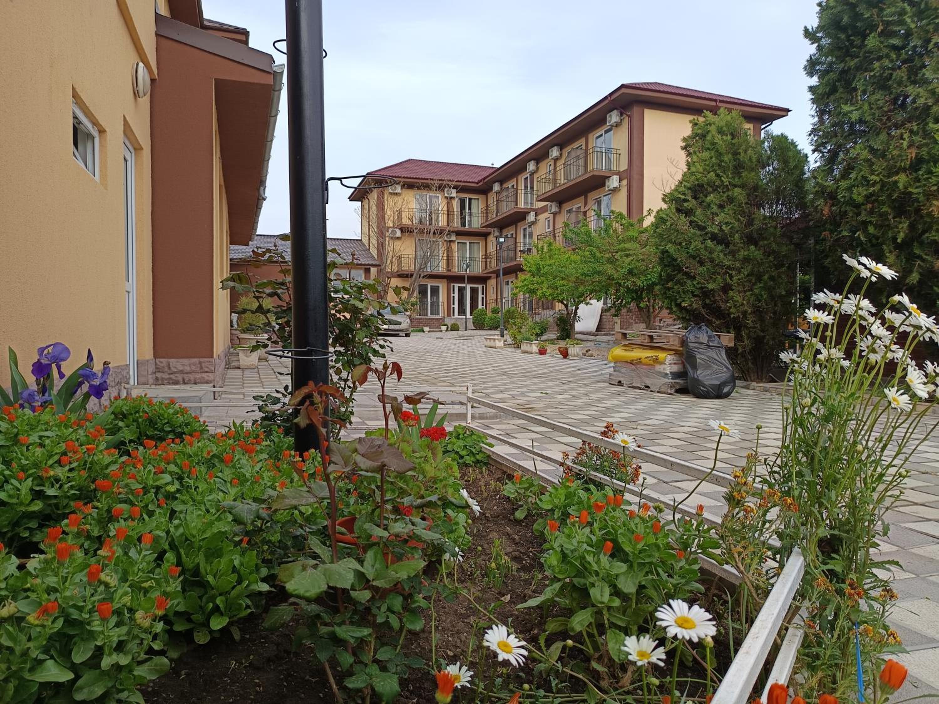 Photo 19