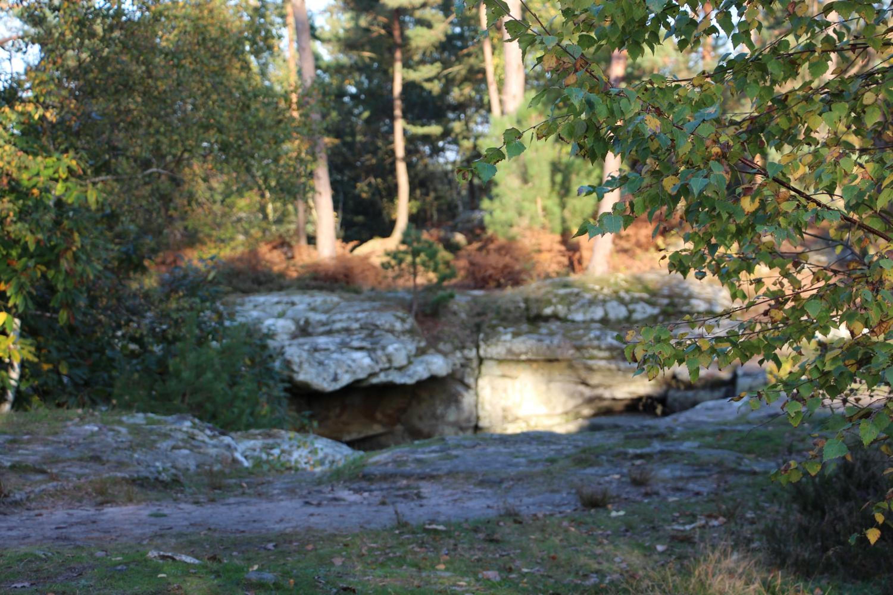 Photo 25