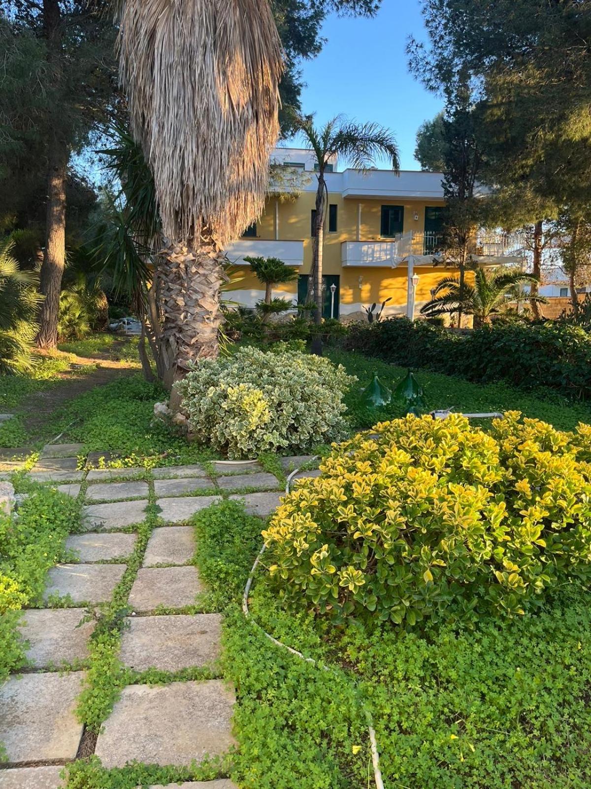 Villa Lu photo 4