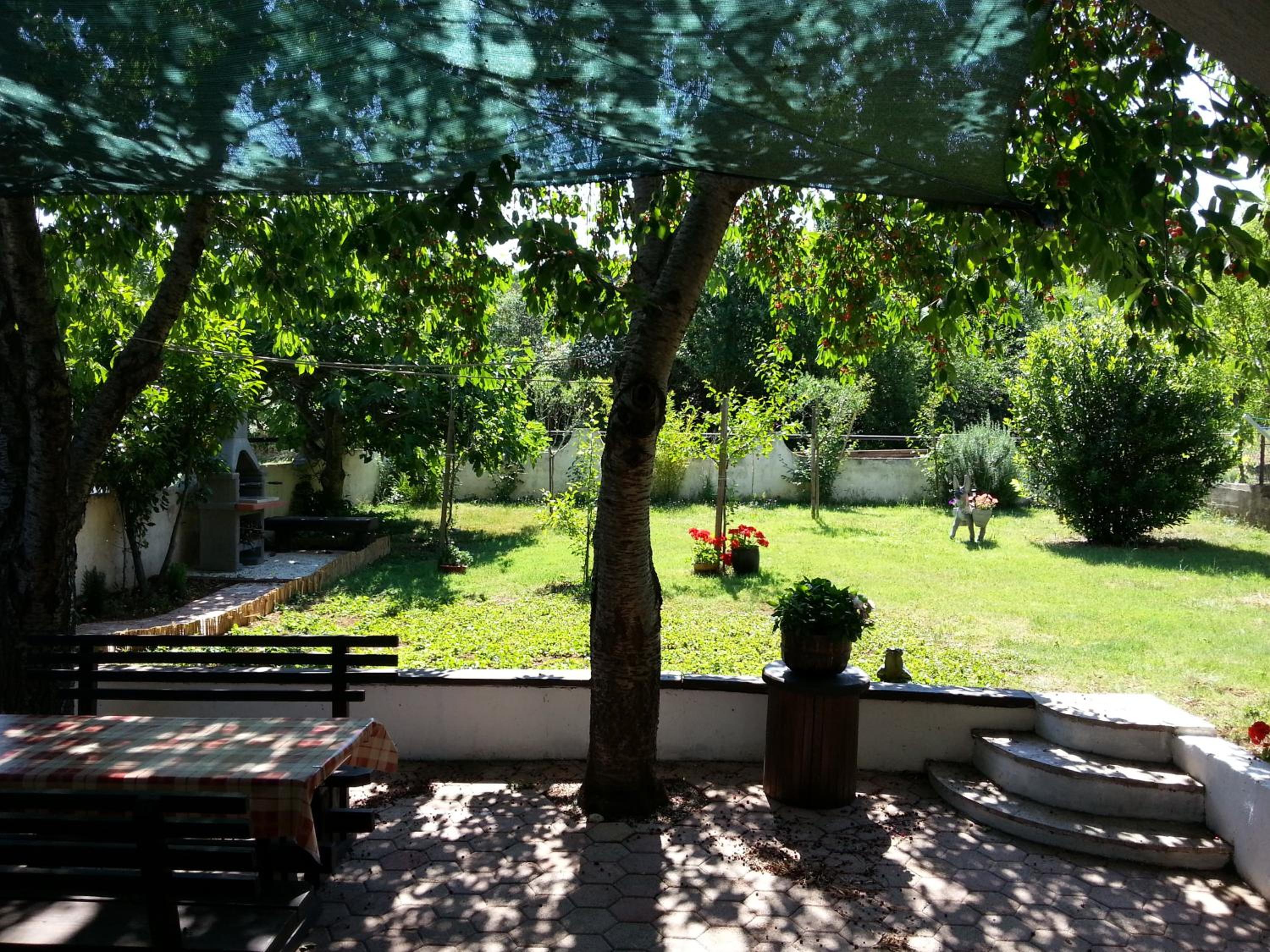Photo 23