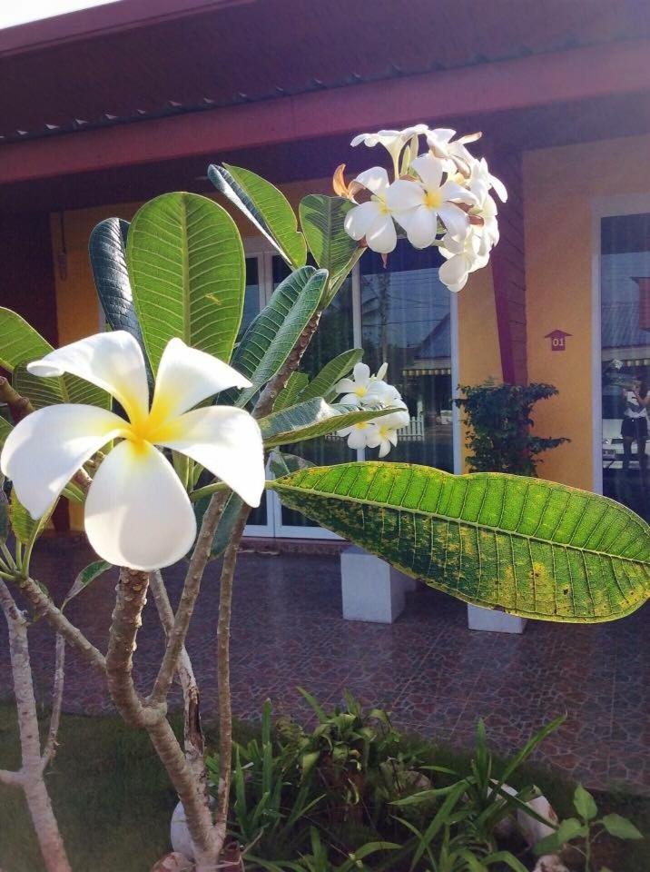 My Home Resort