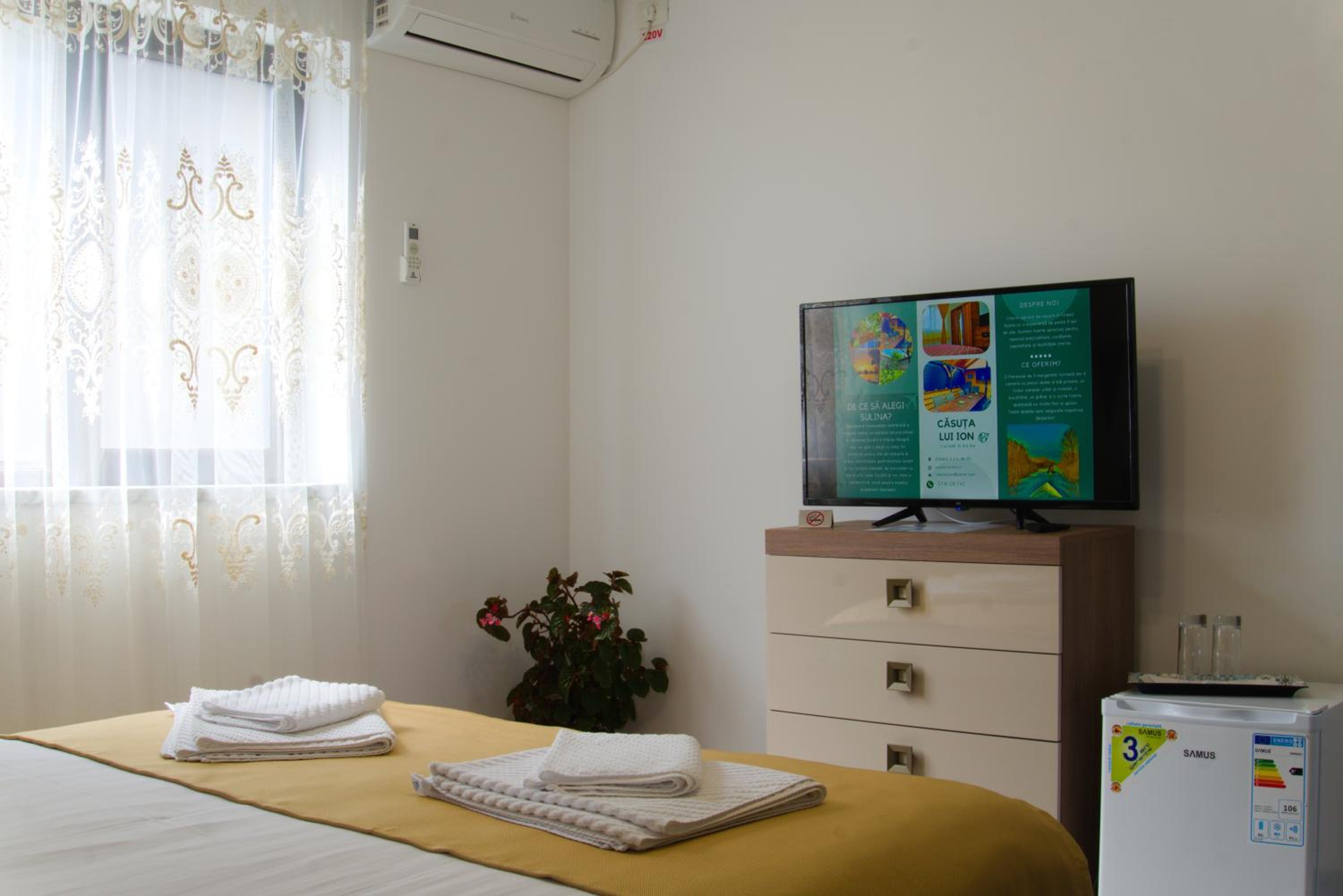 CĂSUȚA LUI ION view 2