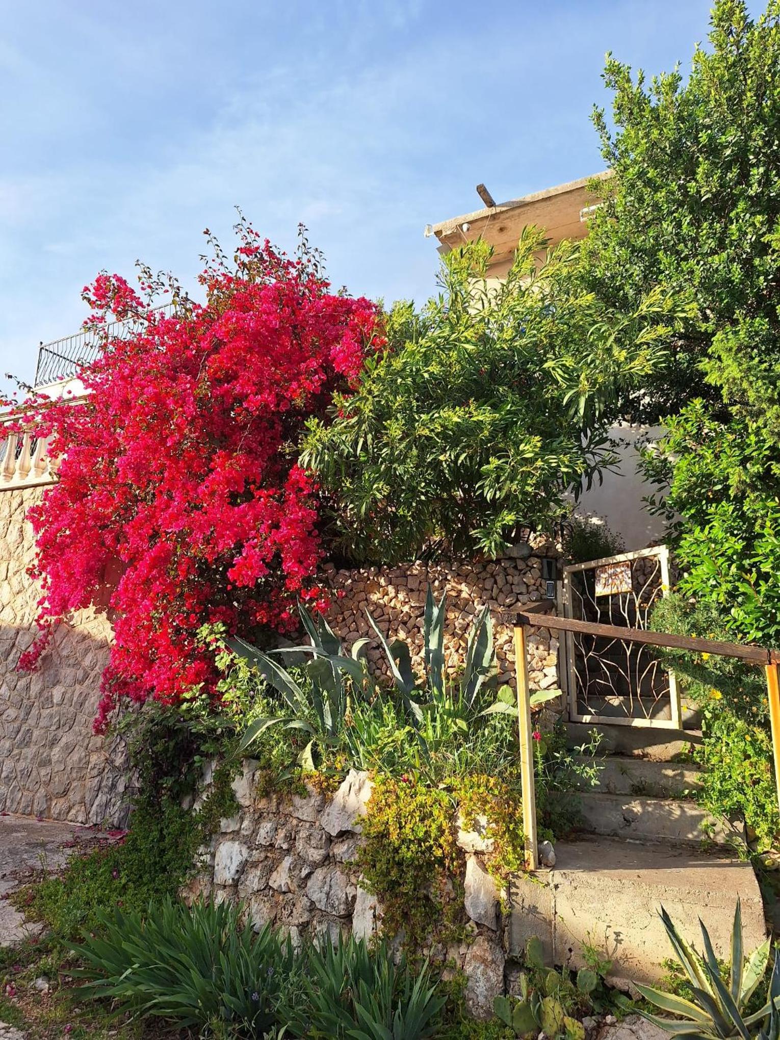 SunnyDay House view 3