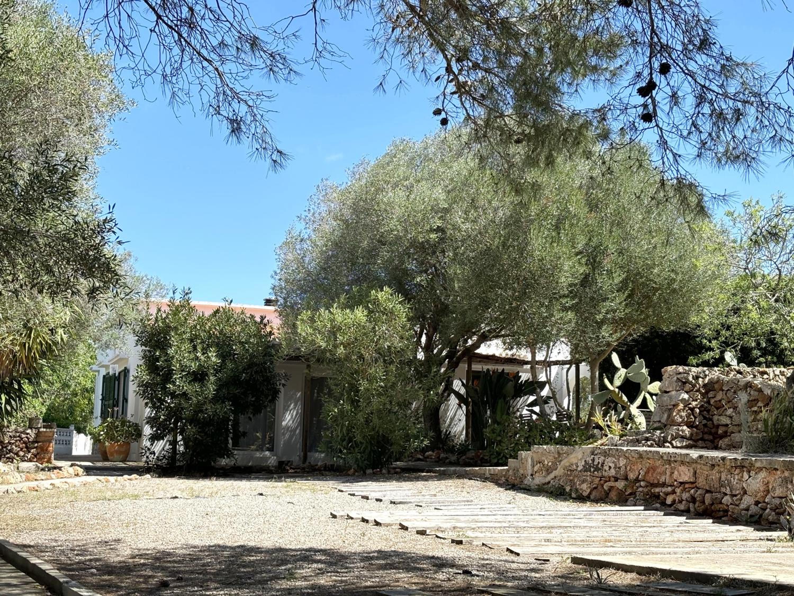 Photo 49