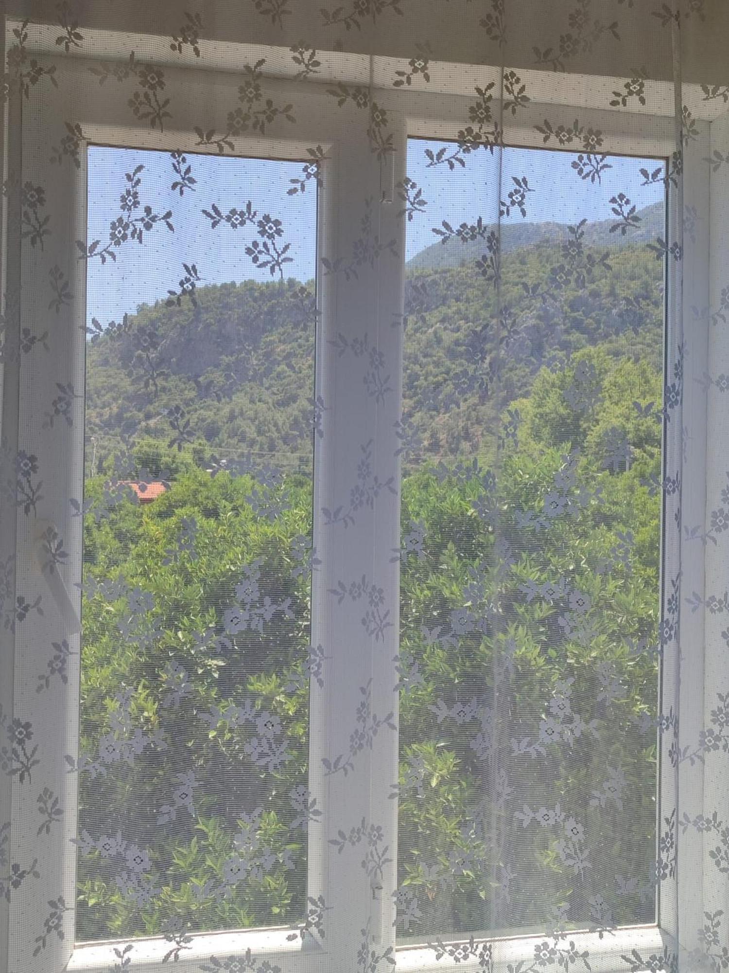 Flora Pansiyon Çıralı - Image 49