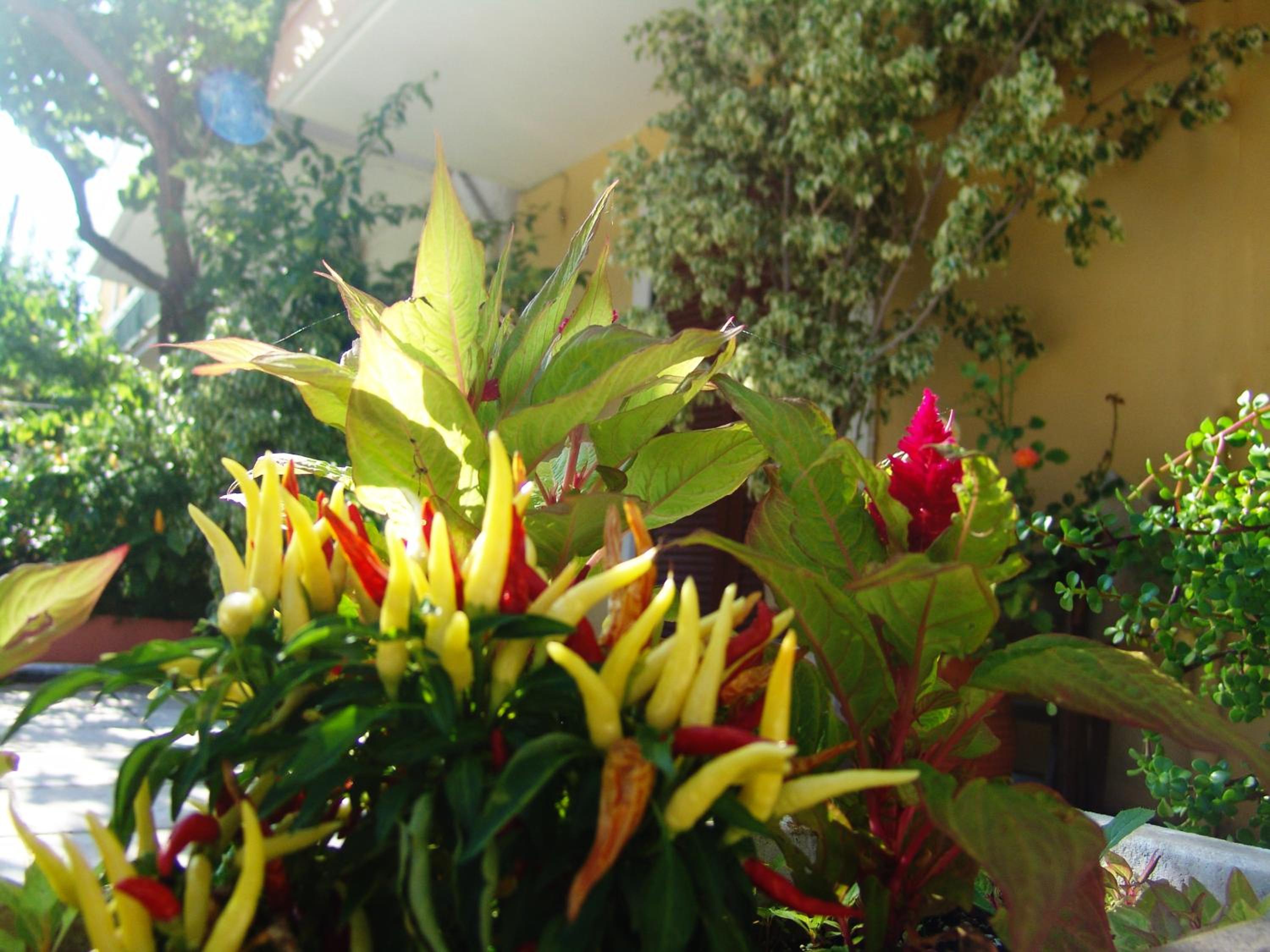 Photo 15