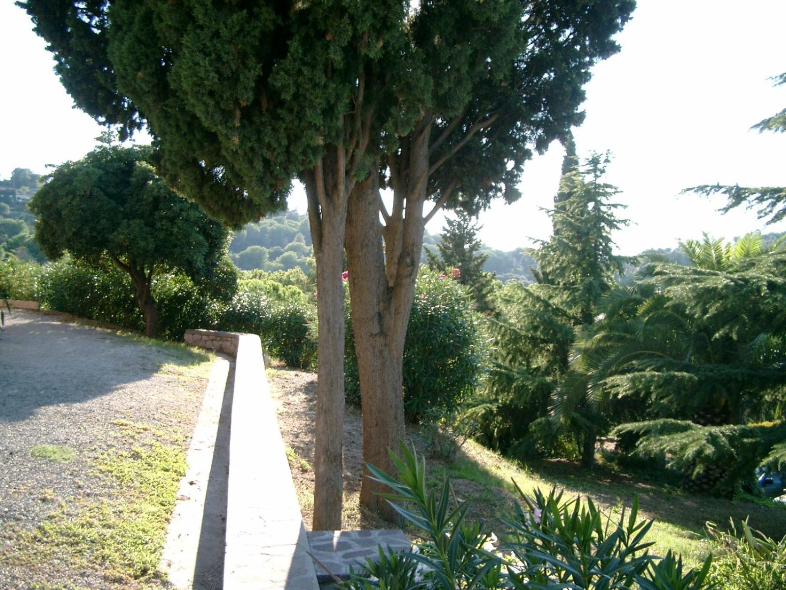 Photo 34