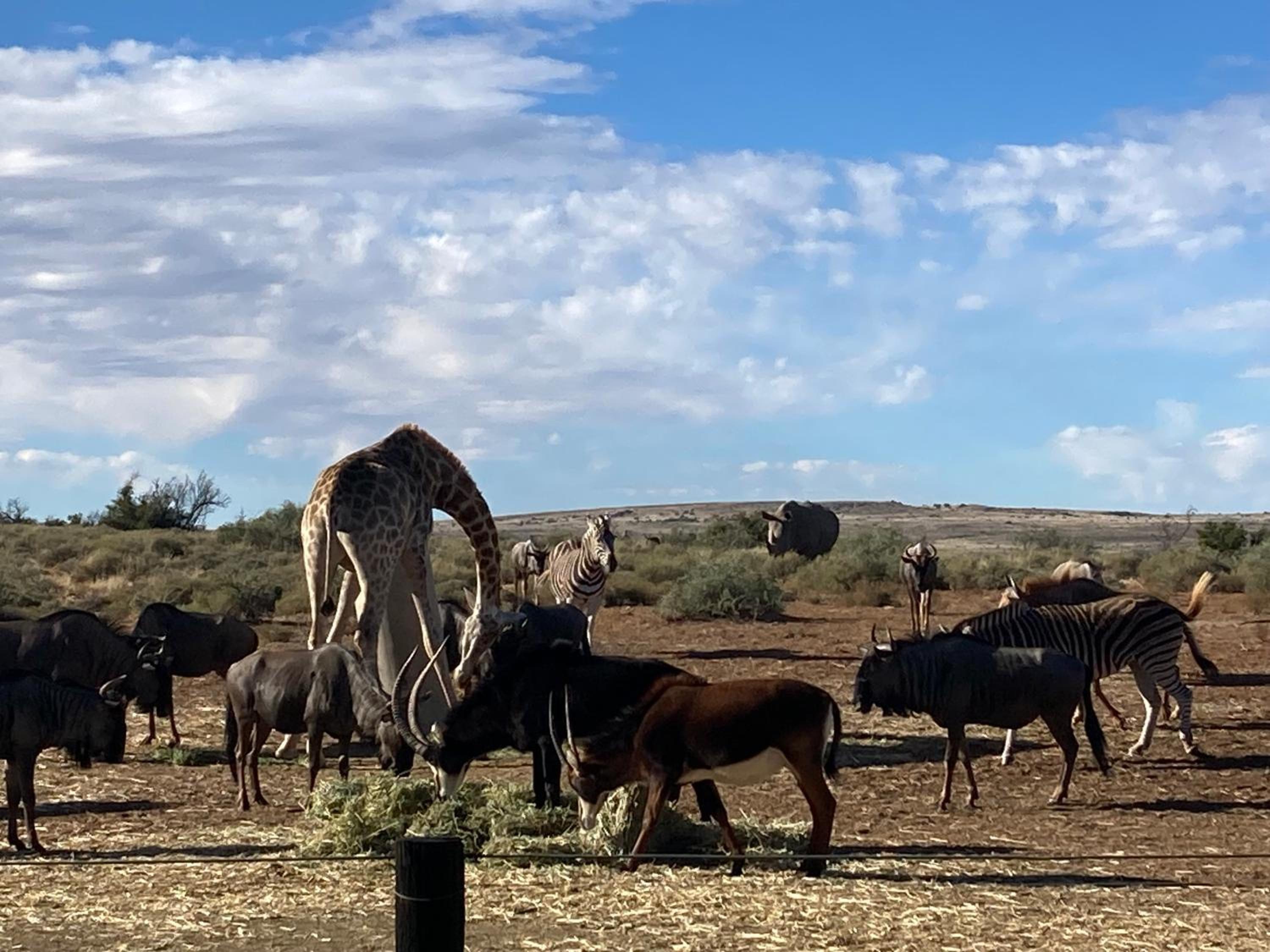 Camp Nguni