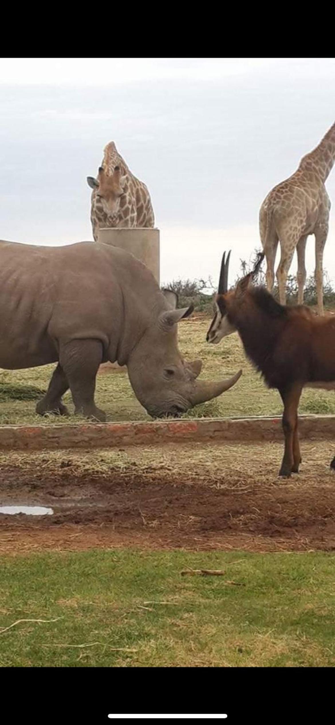 Camp Nguni