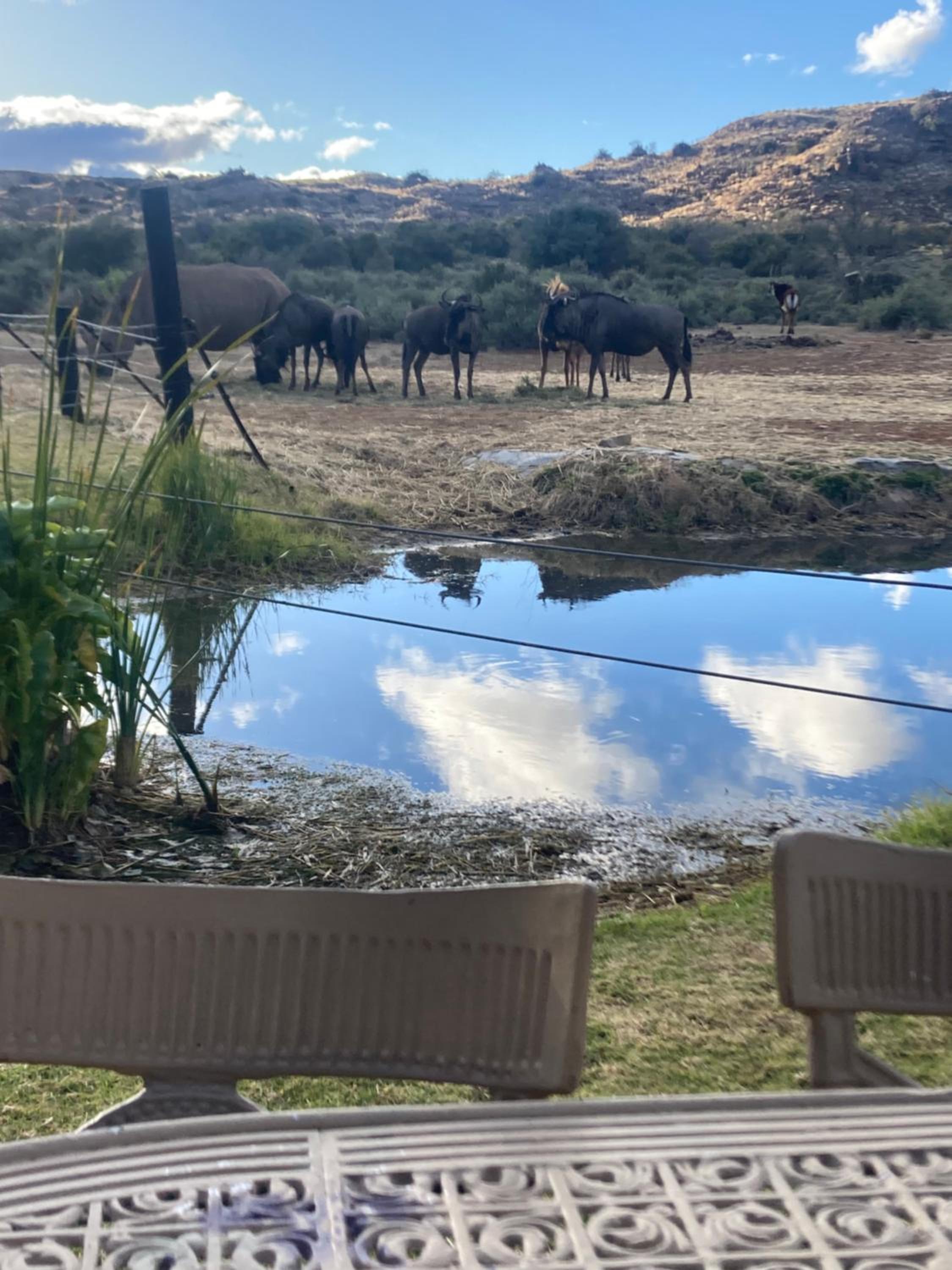 Camp Nguni