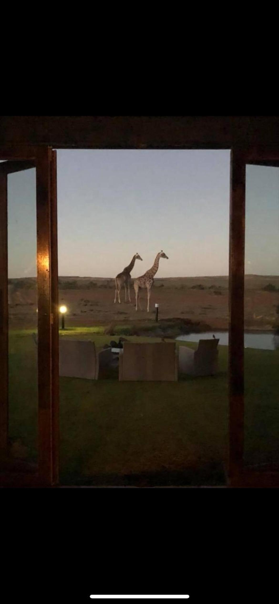 Camp Nguni