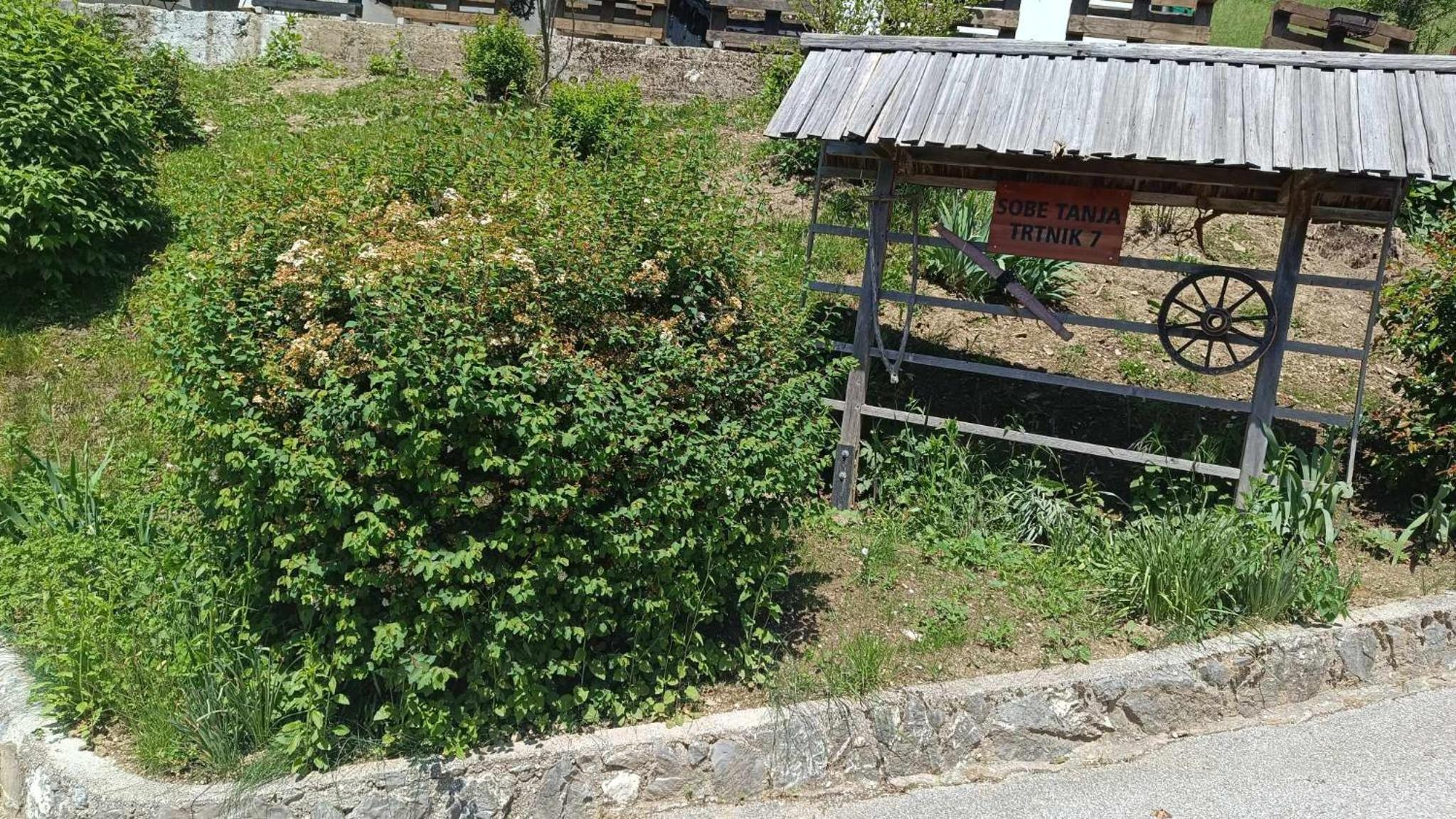 Photo 43