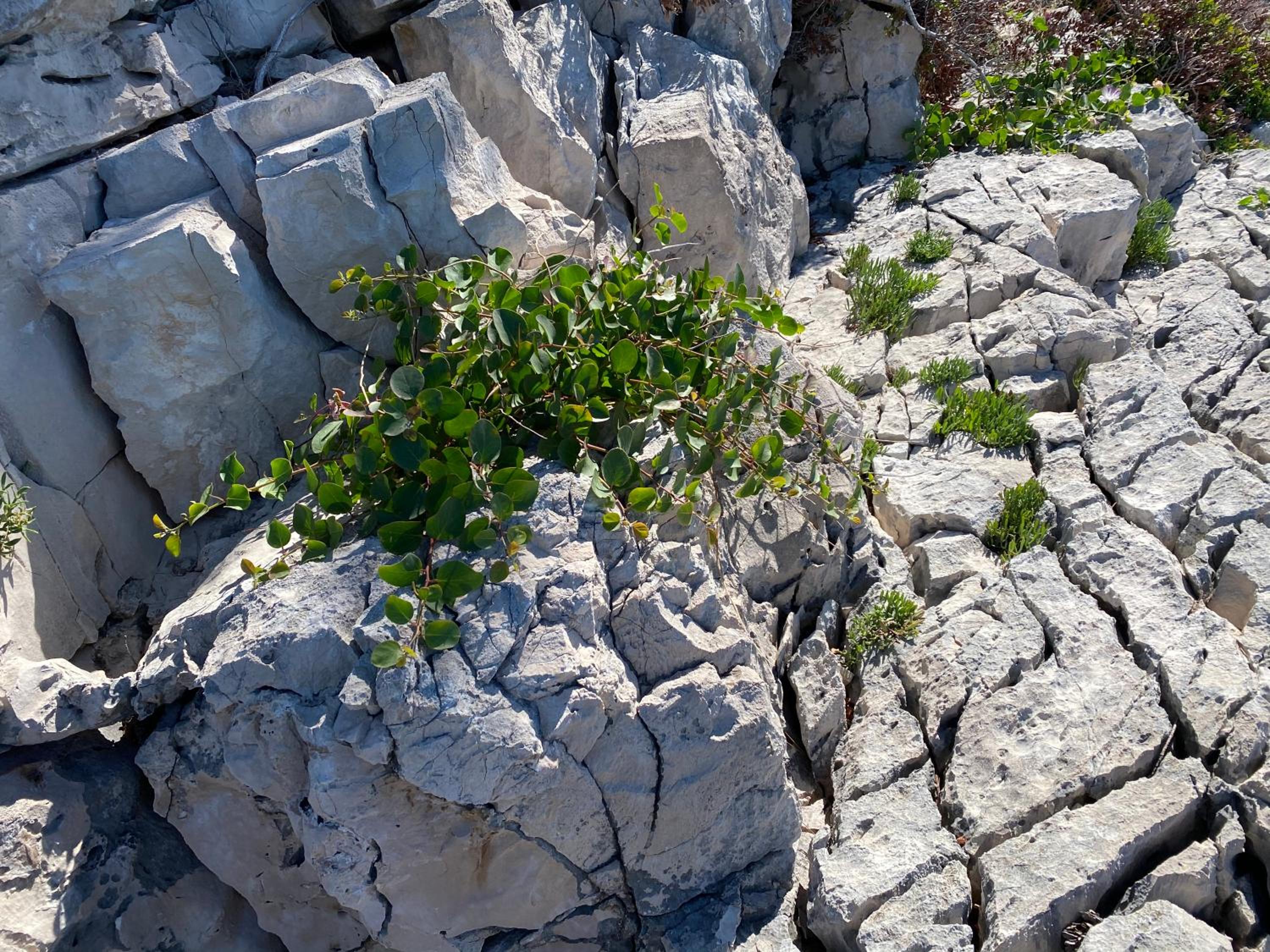 Photo 46