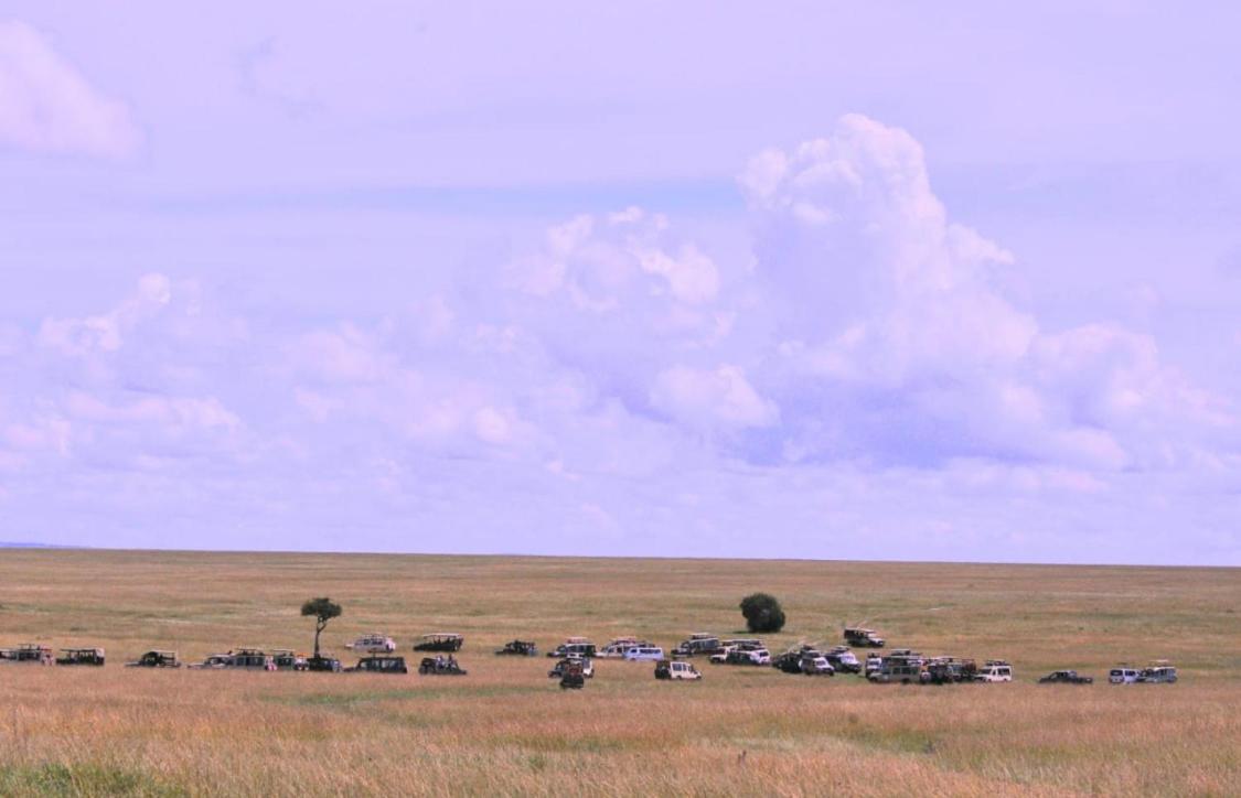 Masai Mara Vacations - Wageni Camp - Property Image 3