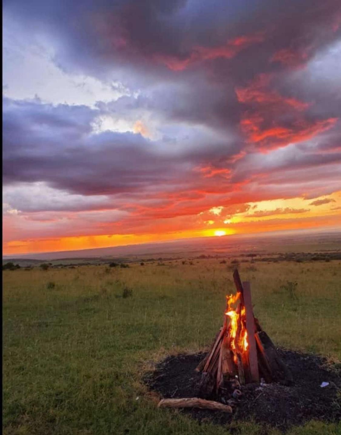 Masai Mara Vacations - Wageni Camp - Property Image 6