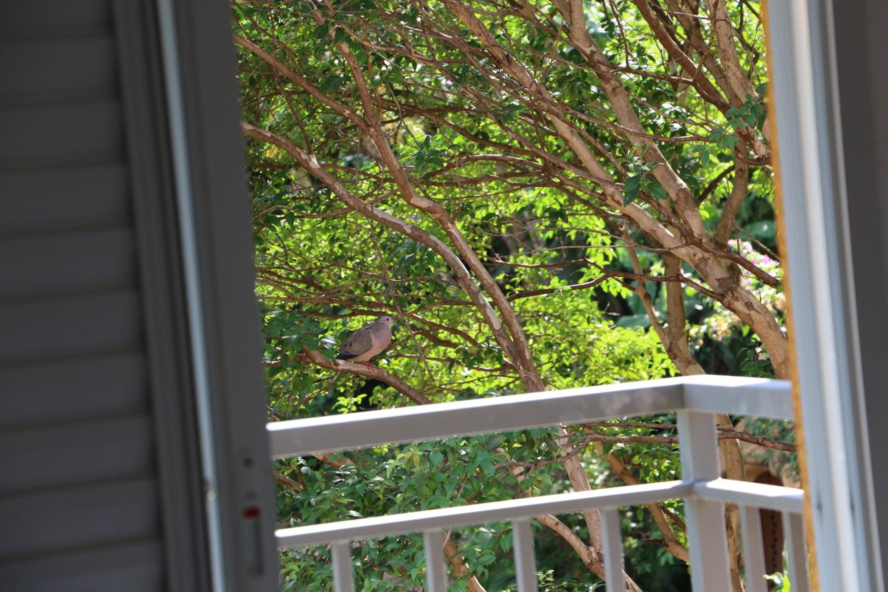 balcony