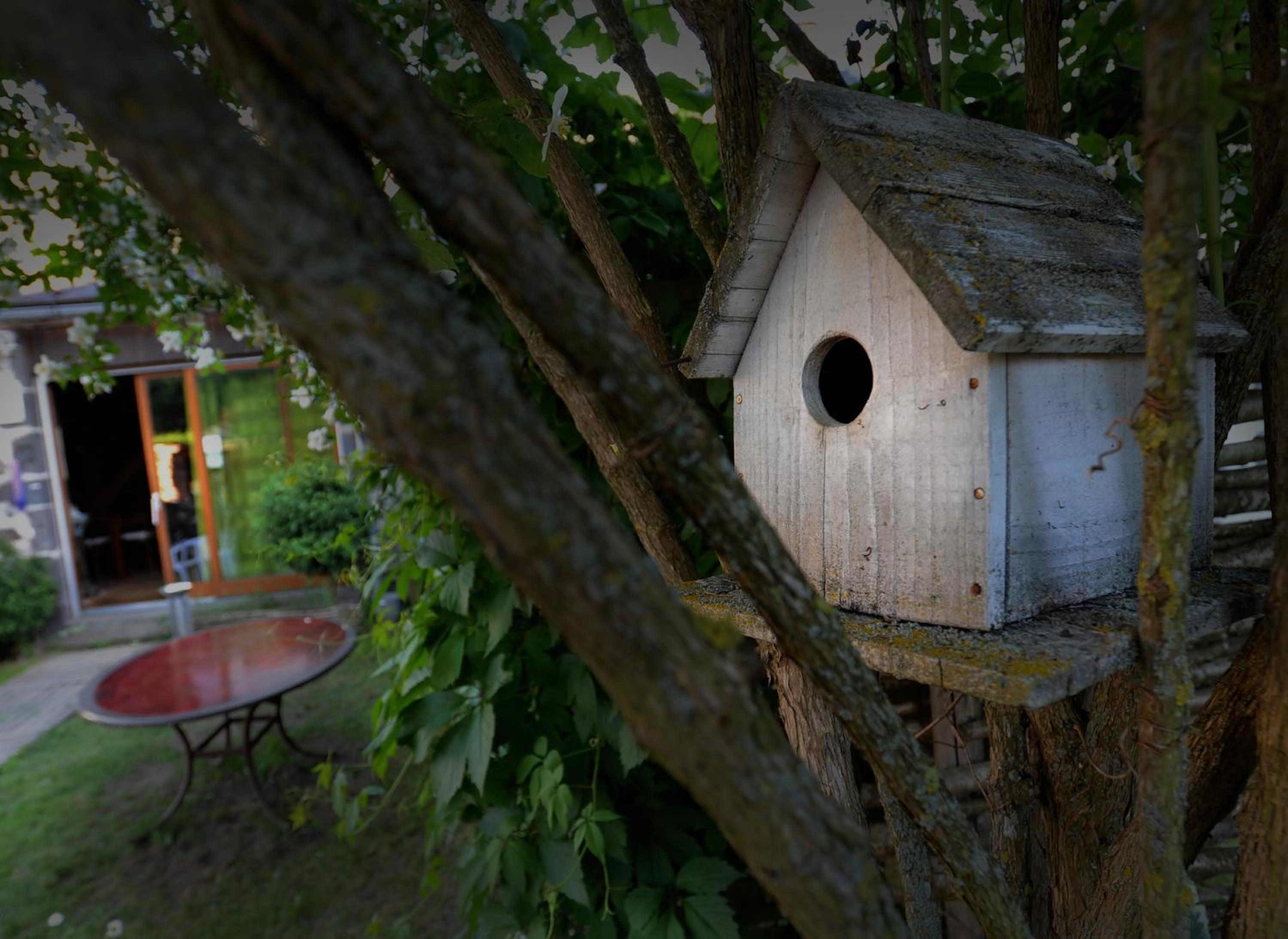 Gite La Voie Romaine - Property Image 3