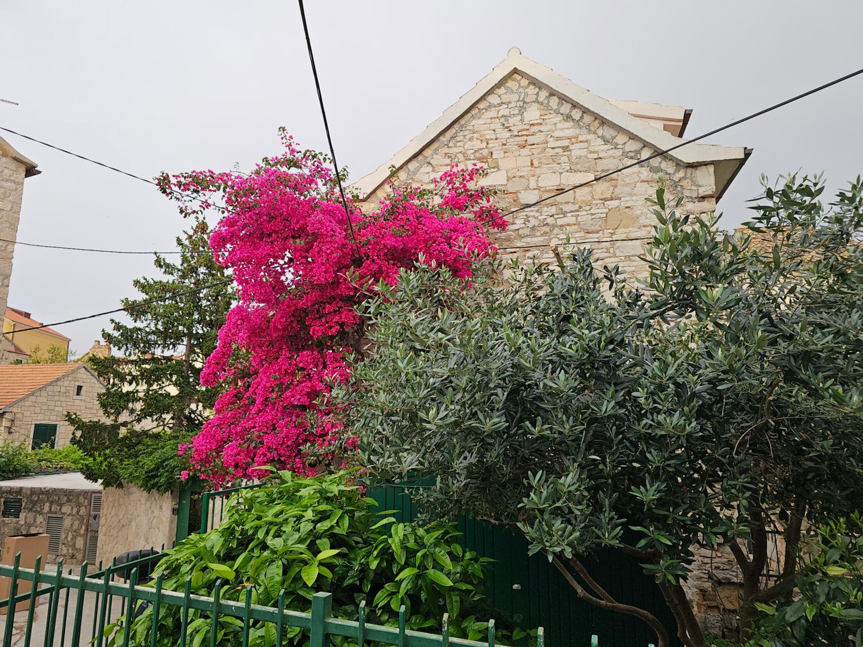 Photo 26