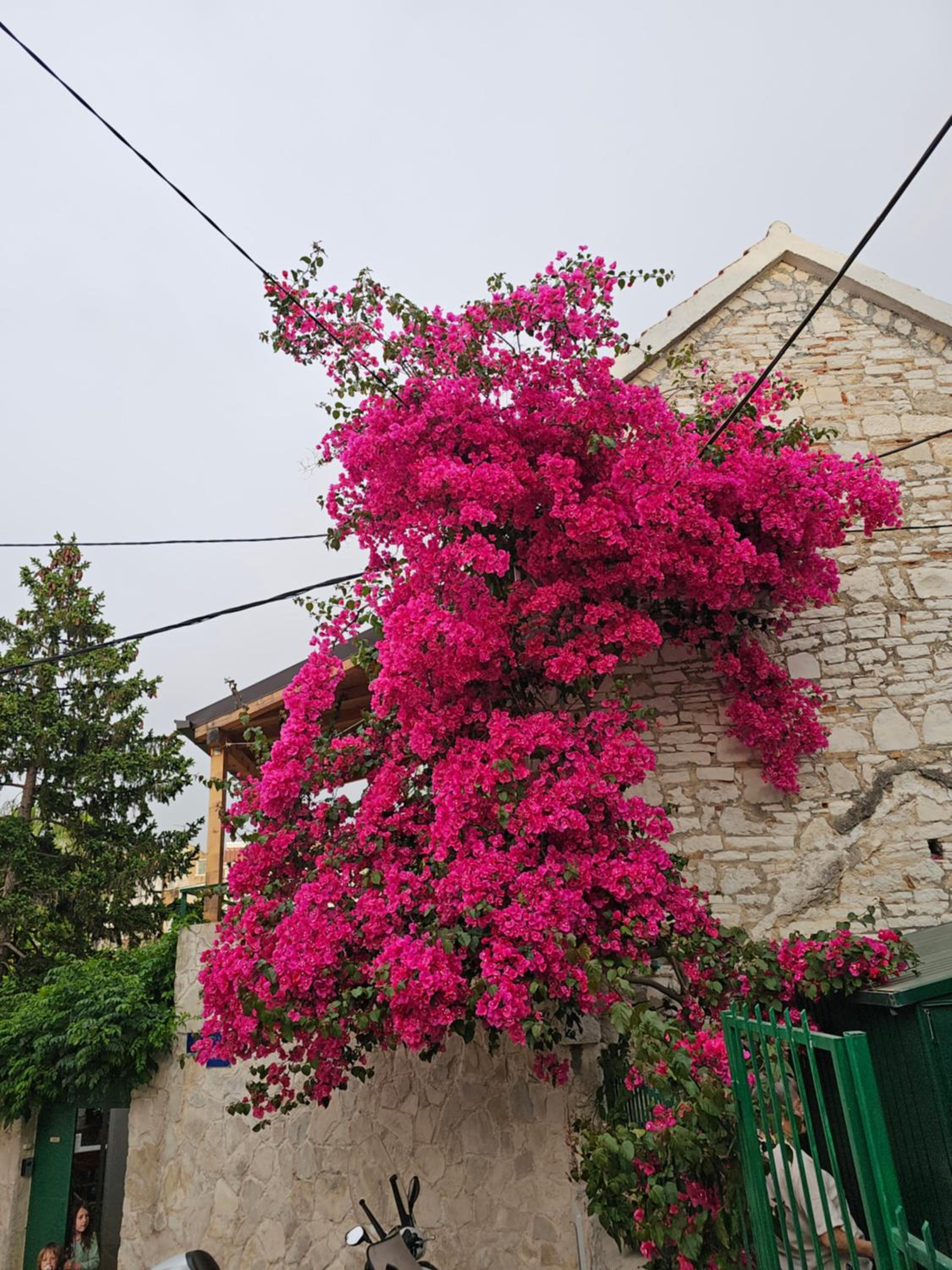 Photo 25
