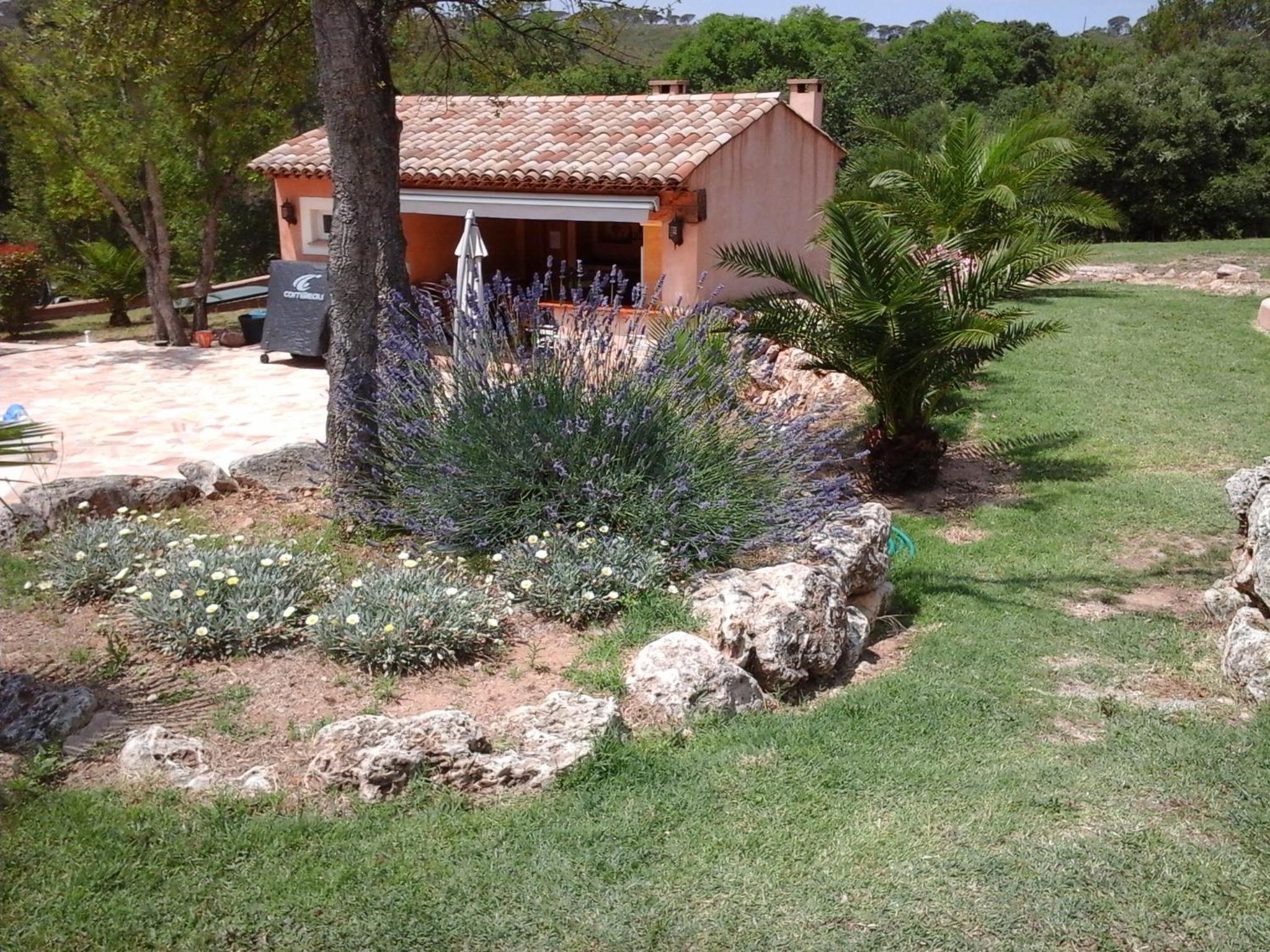 Photo 33