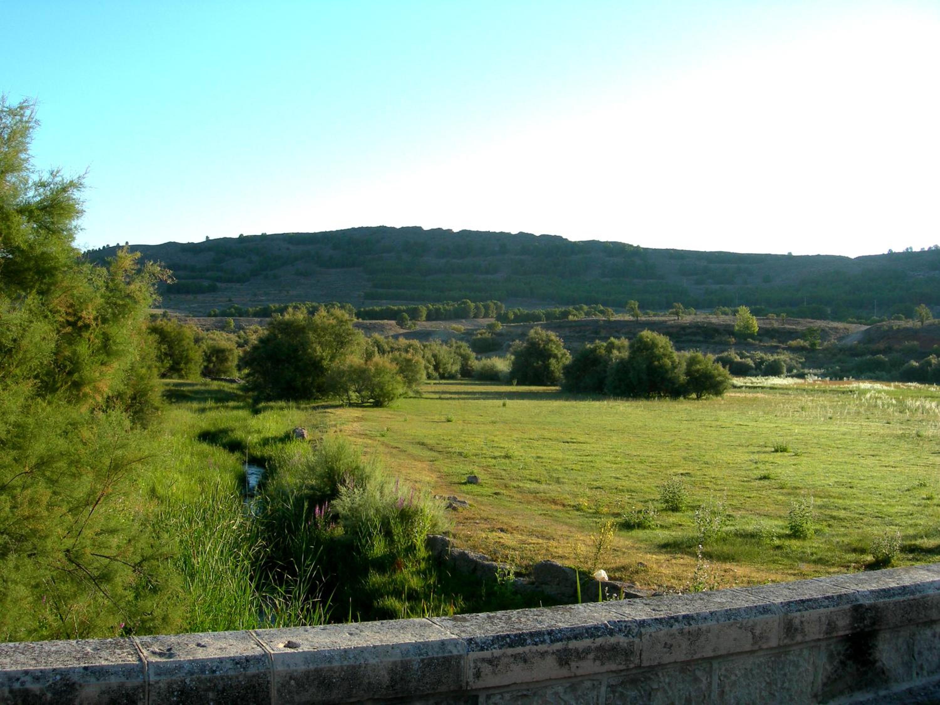 Photo 43
