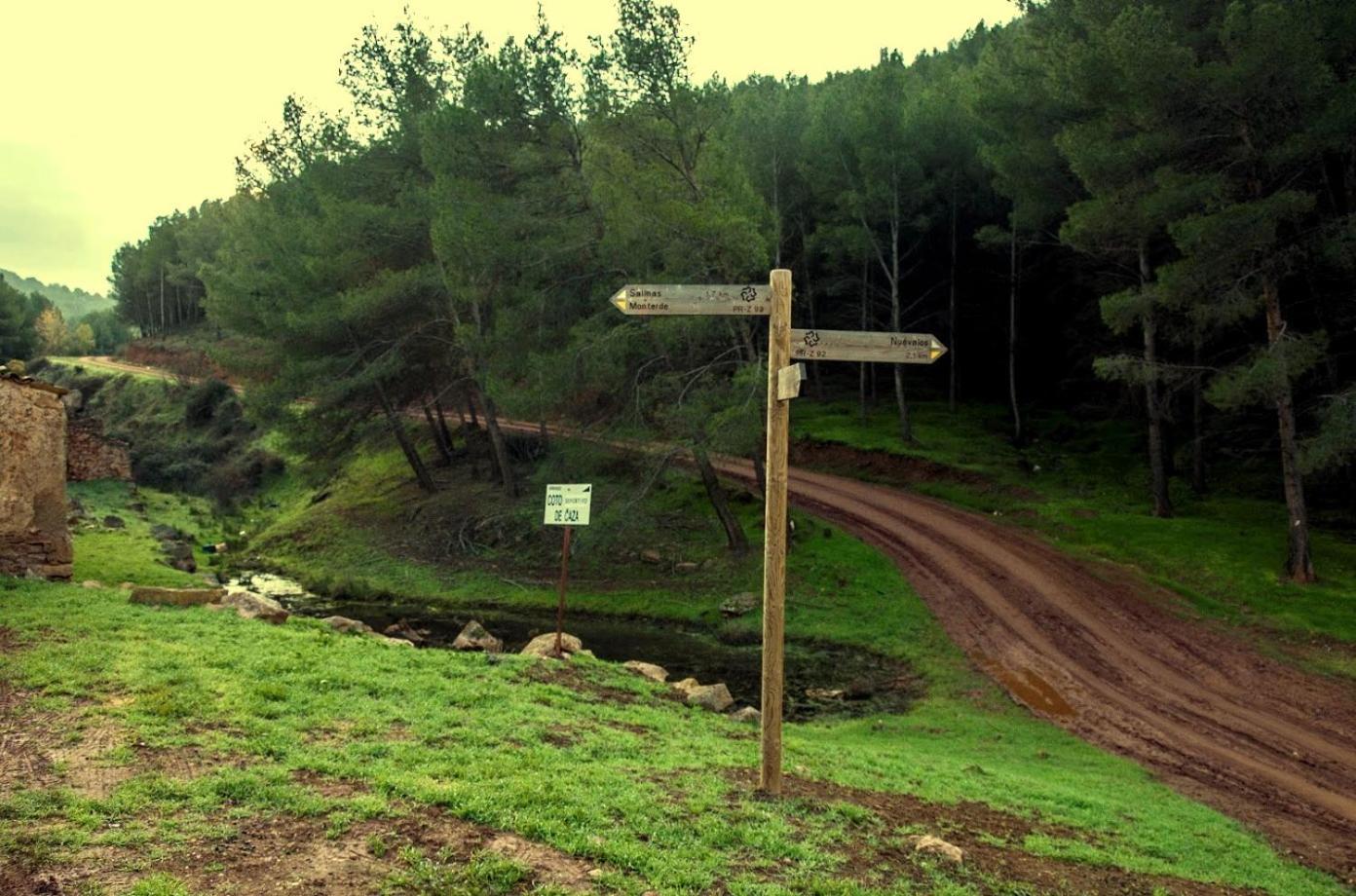 Photo 45