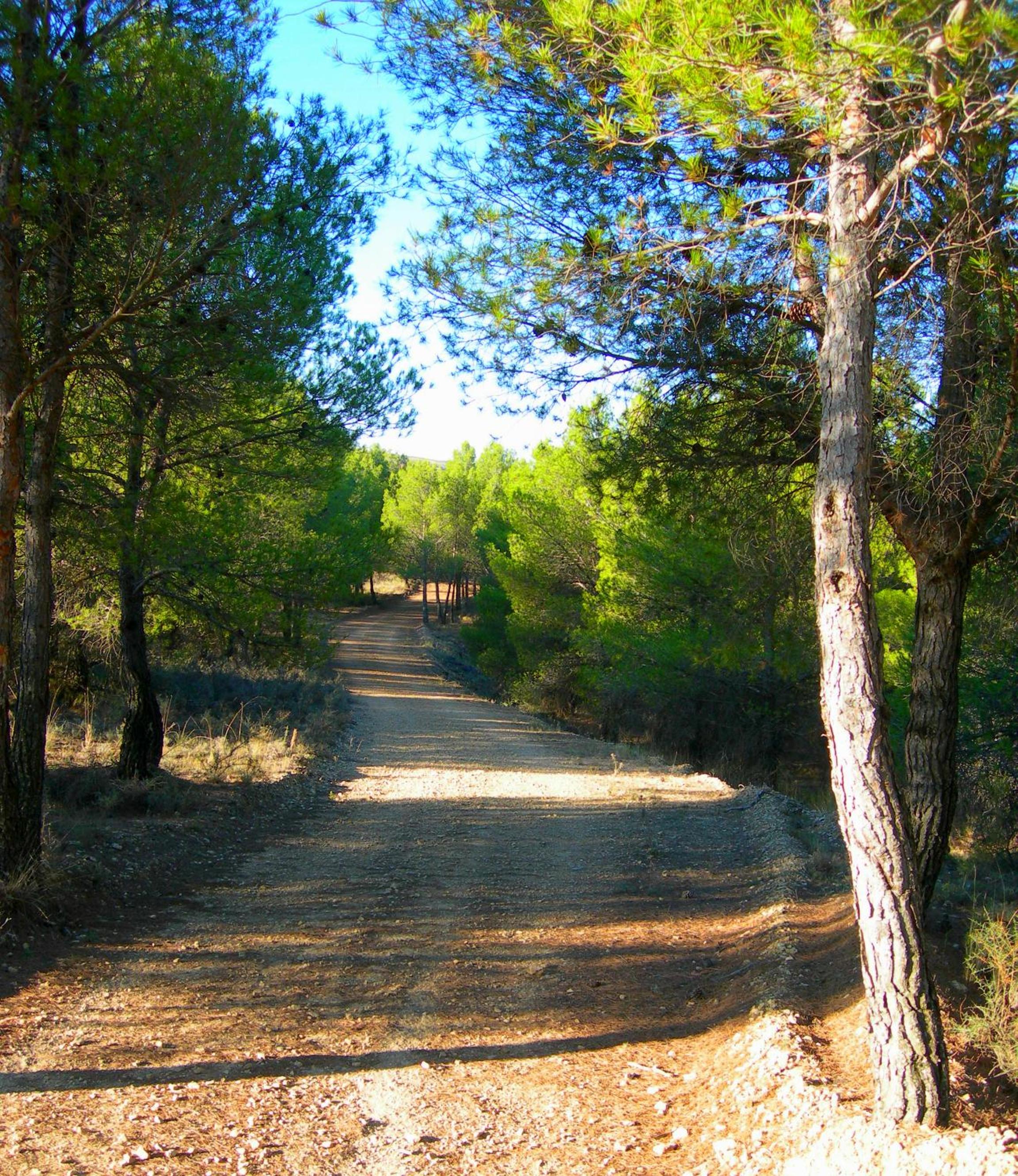 Photo 44