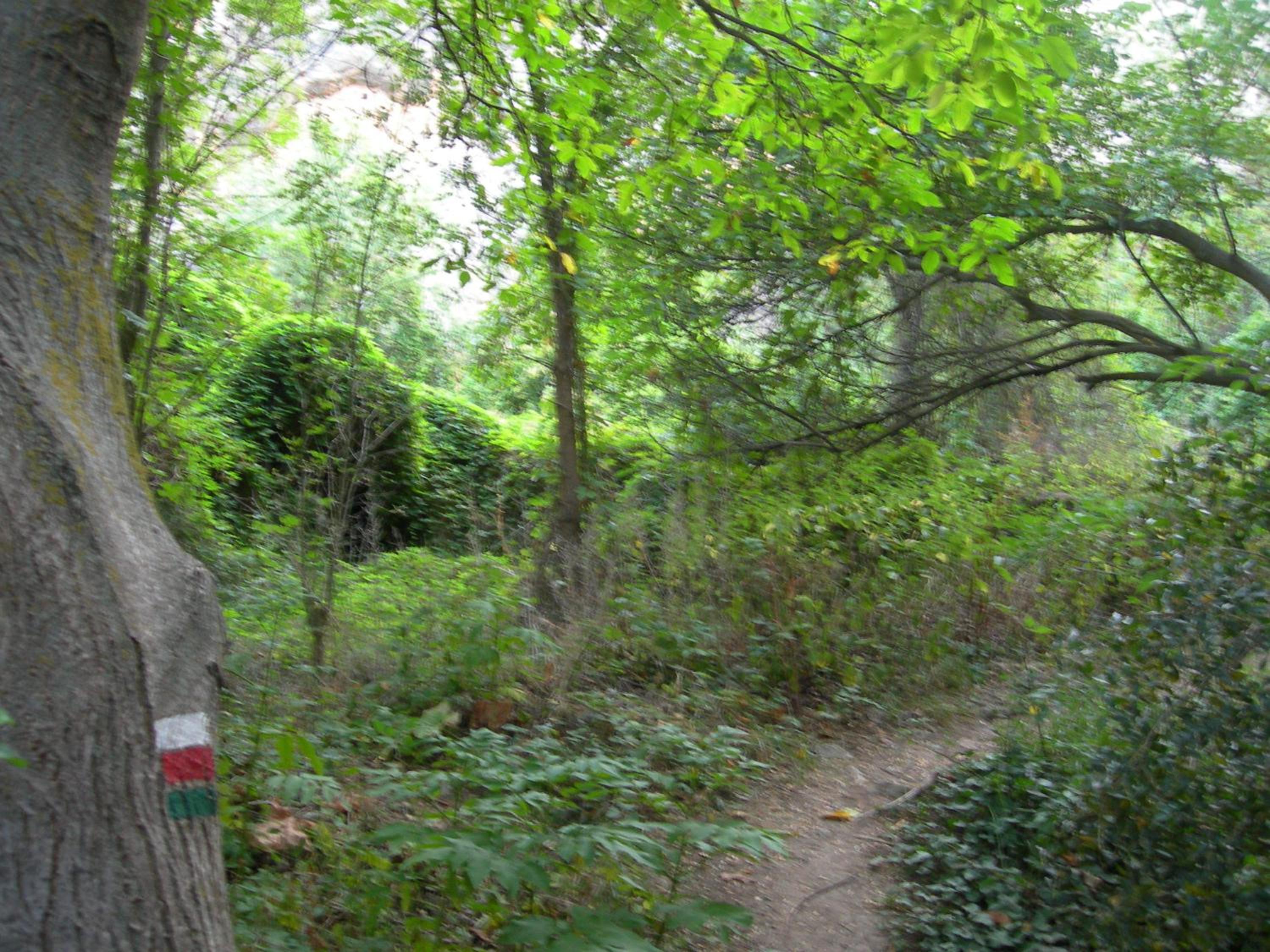 Photo 47