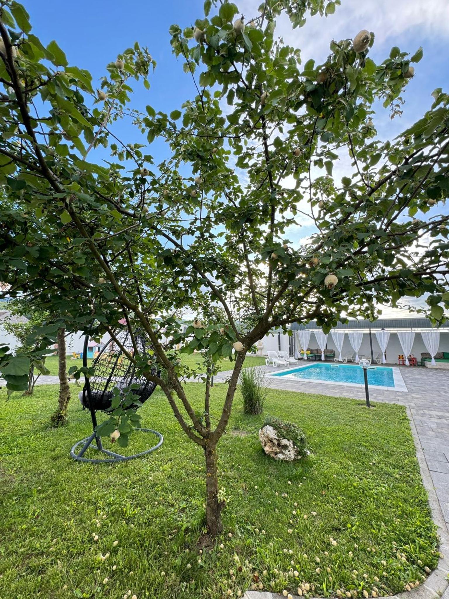 Family estate Hadžalova avlija