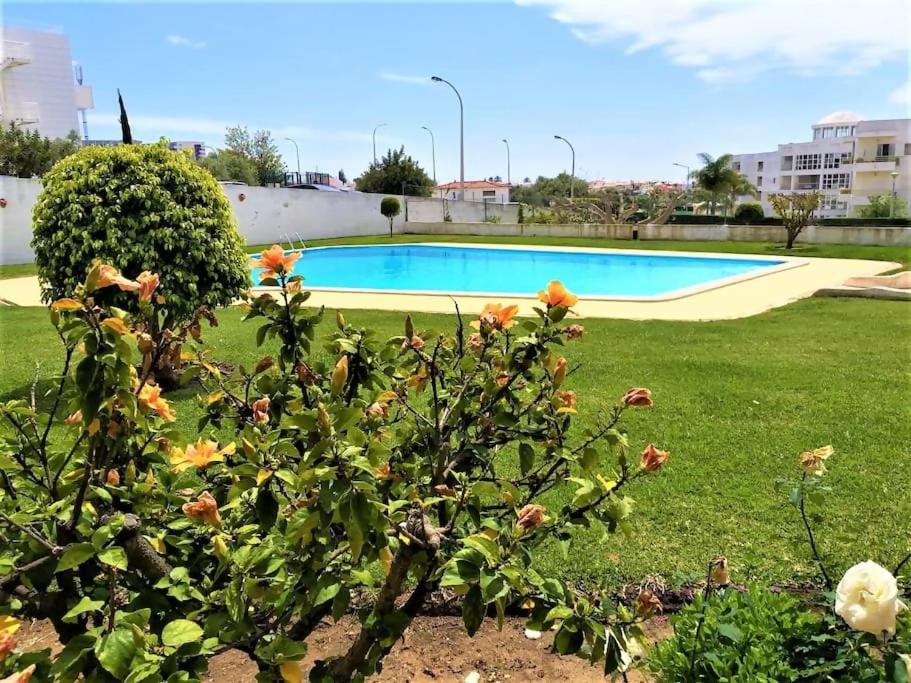 Magalie Sea View Apartment photo 4