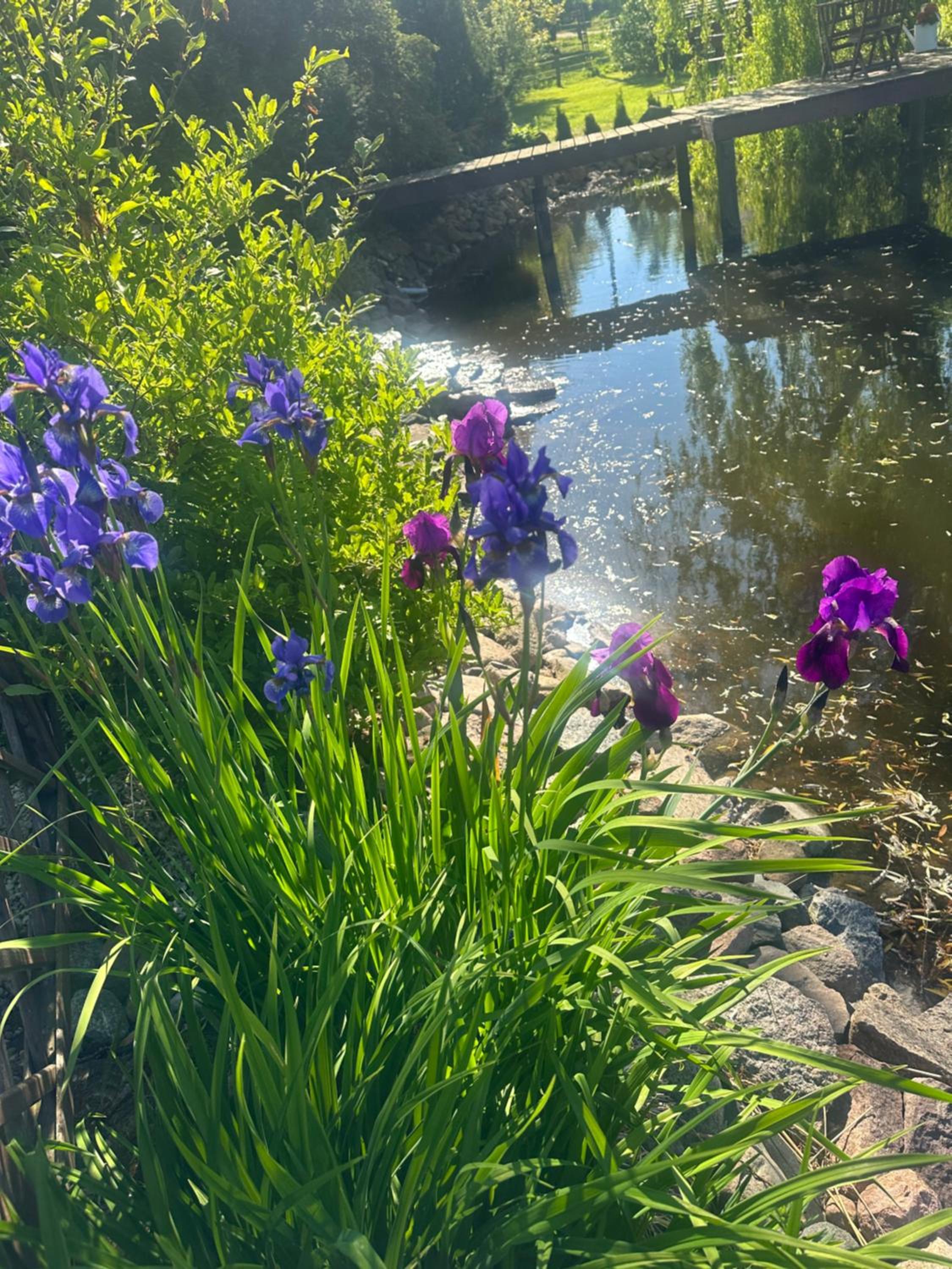 Dom wczasowy Rychertówka view 2
